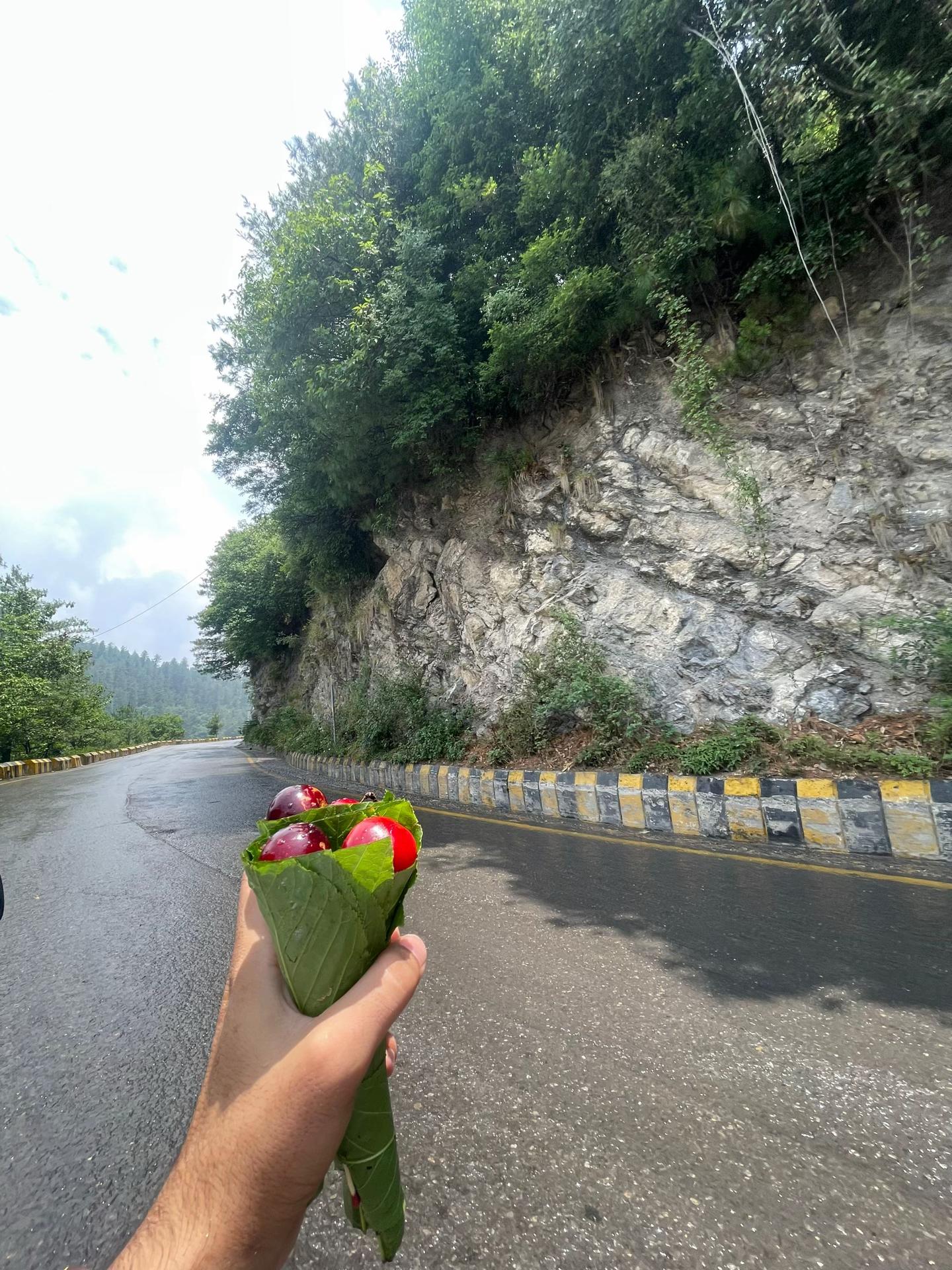 @🍁Afridi ᶠᵃʳᵐᵃⁿ🍁