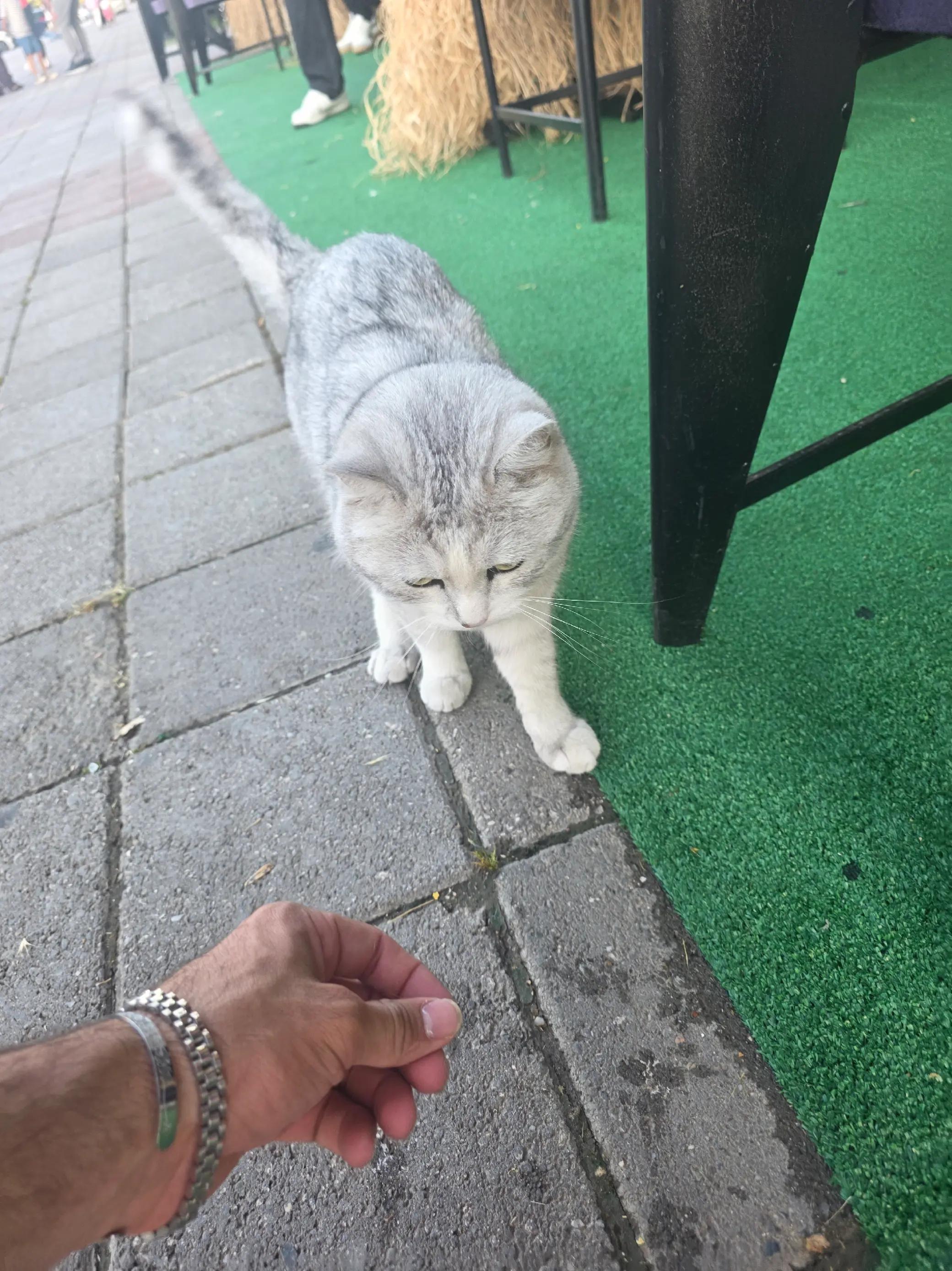 @"ÖZER "