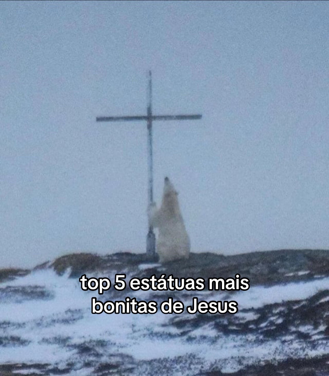 @𝓍𝒶𝓃𝒹𝒾 ♱ ™