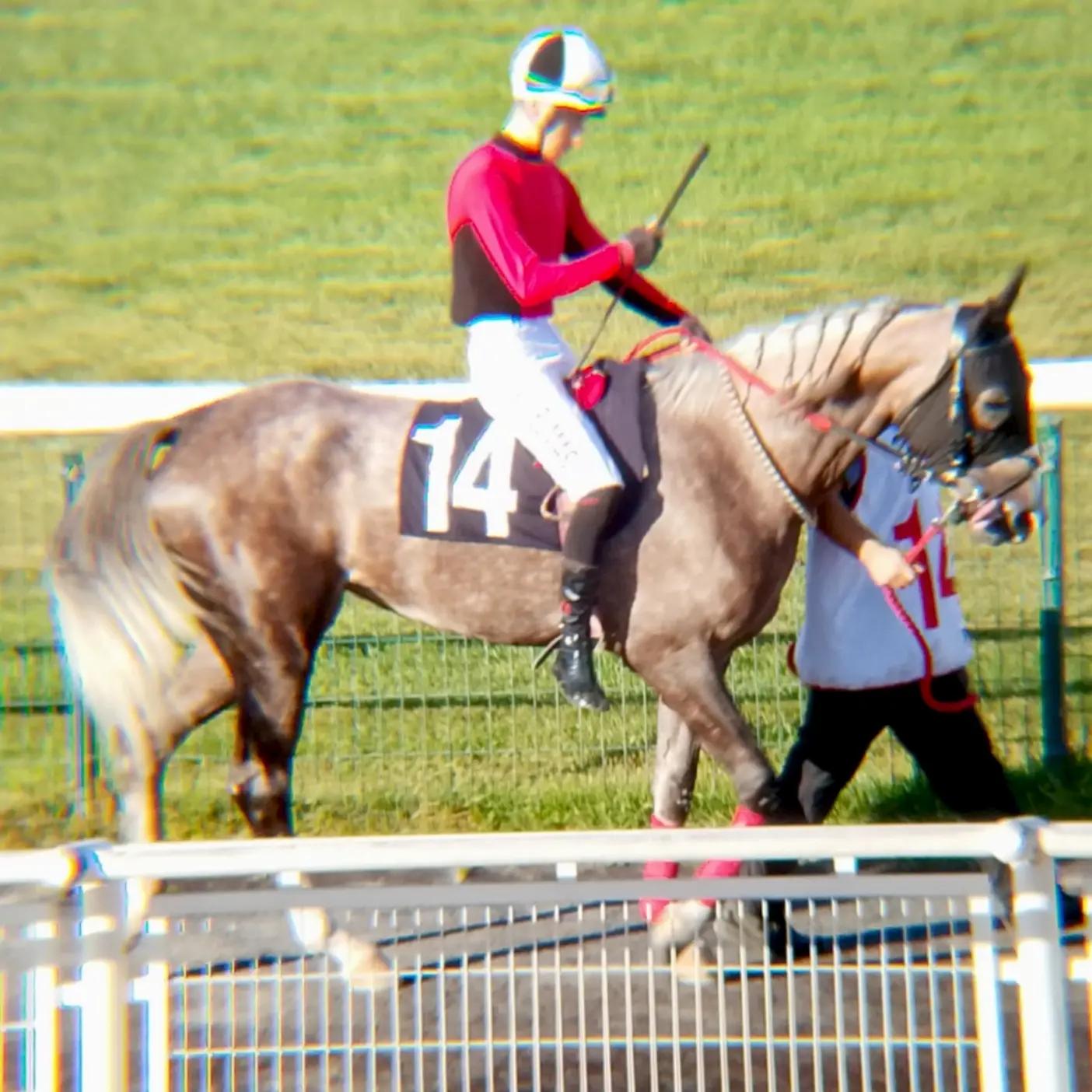 @brs horse racing