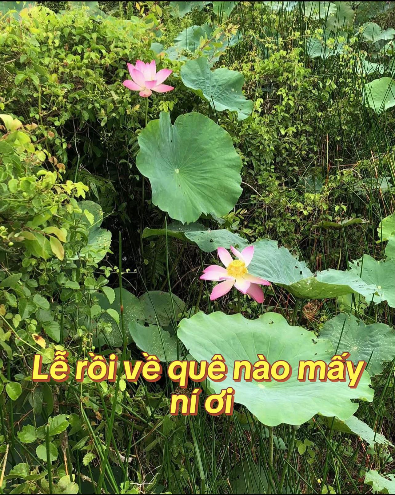 @Wawa J&uacute;