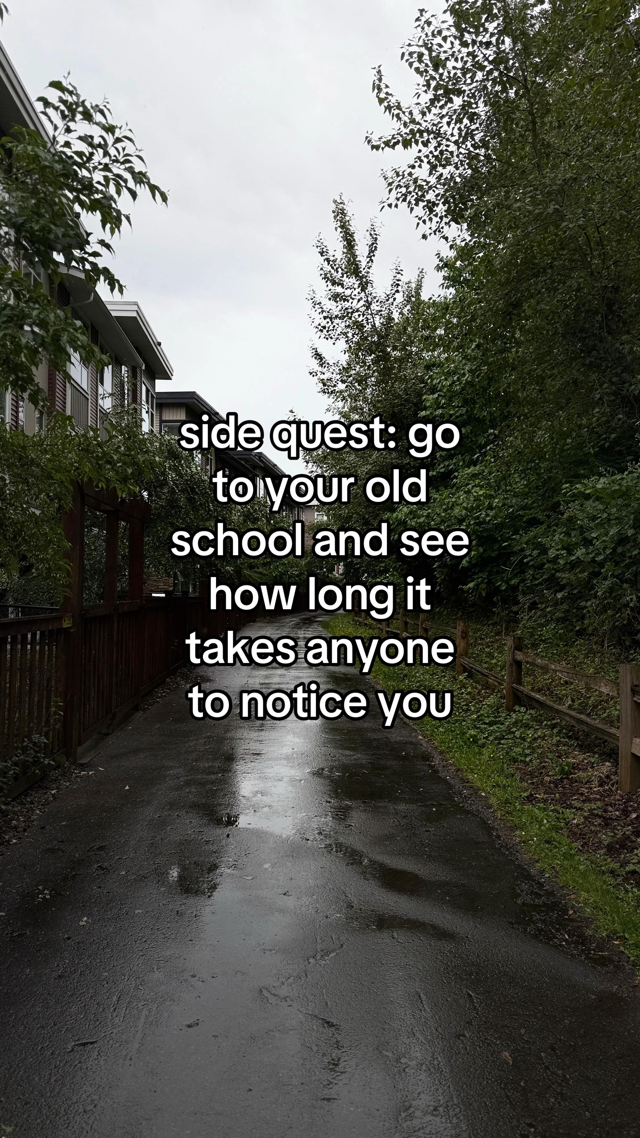 @koi