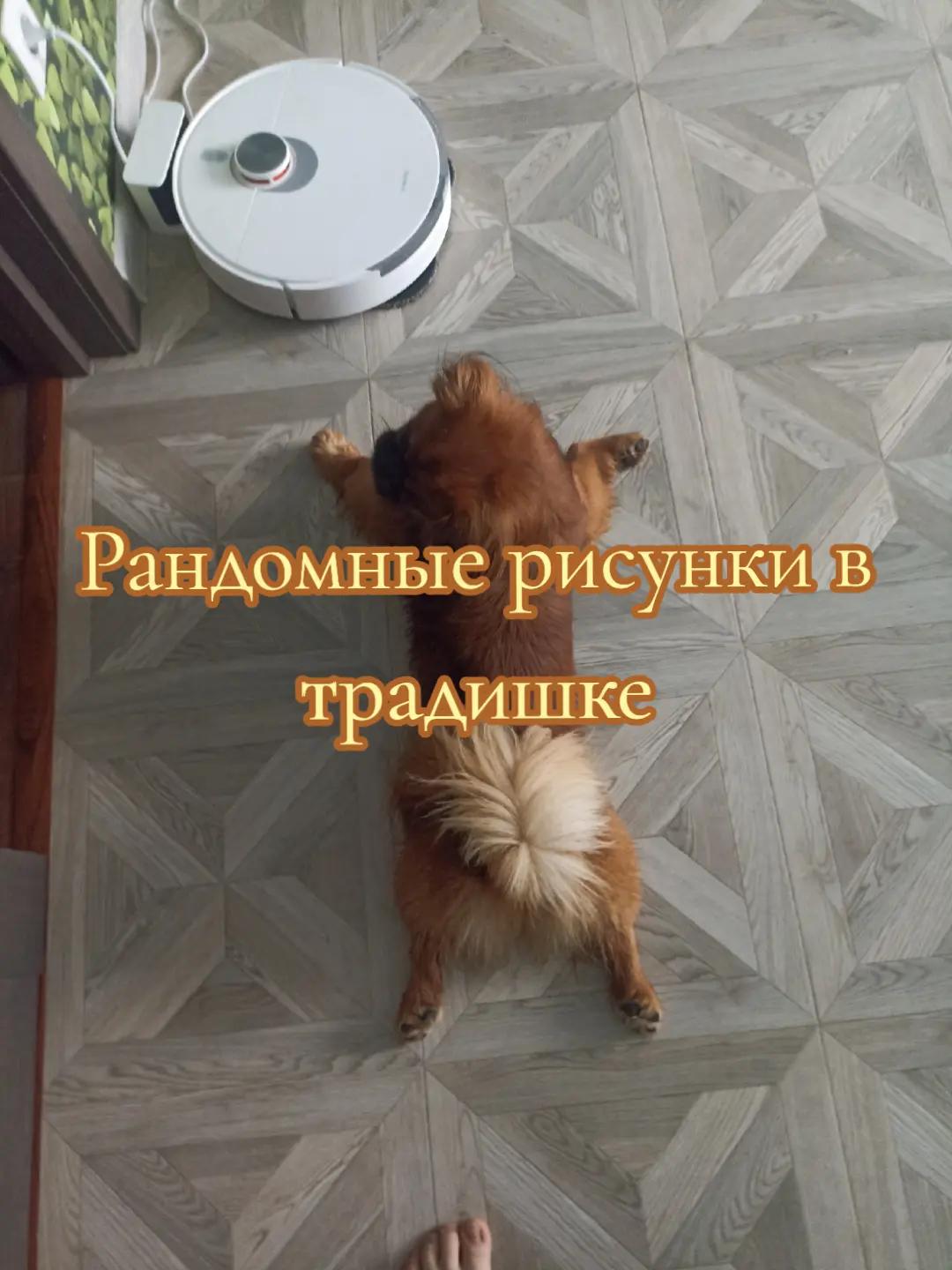 @^^shillalalalaXD@