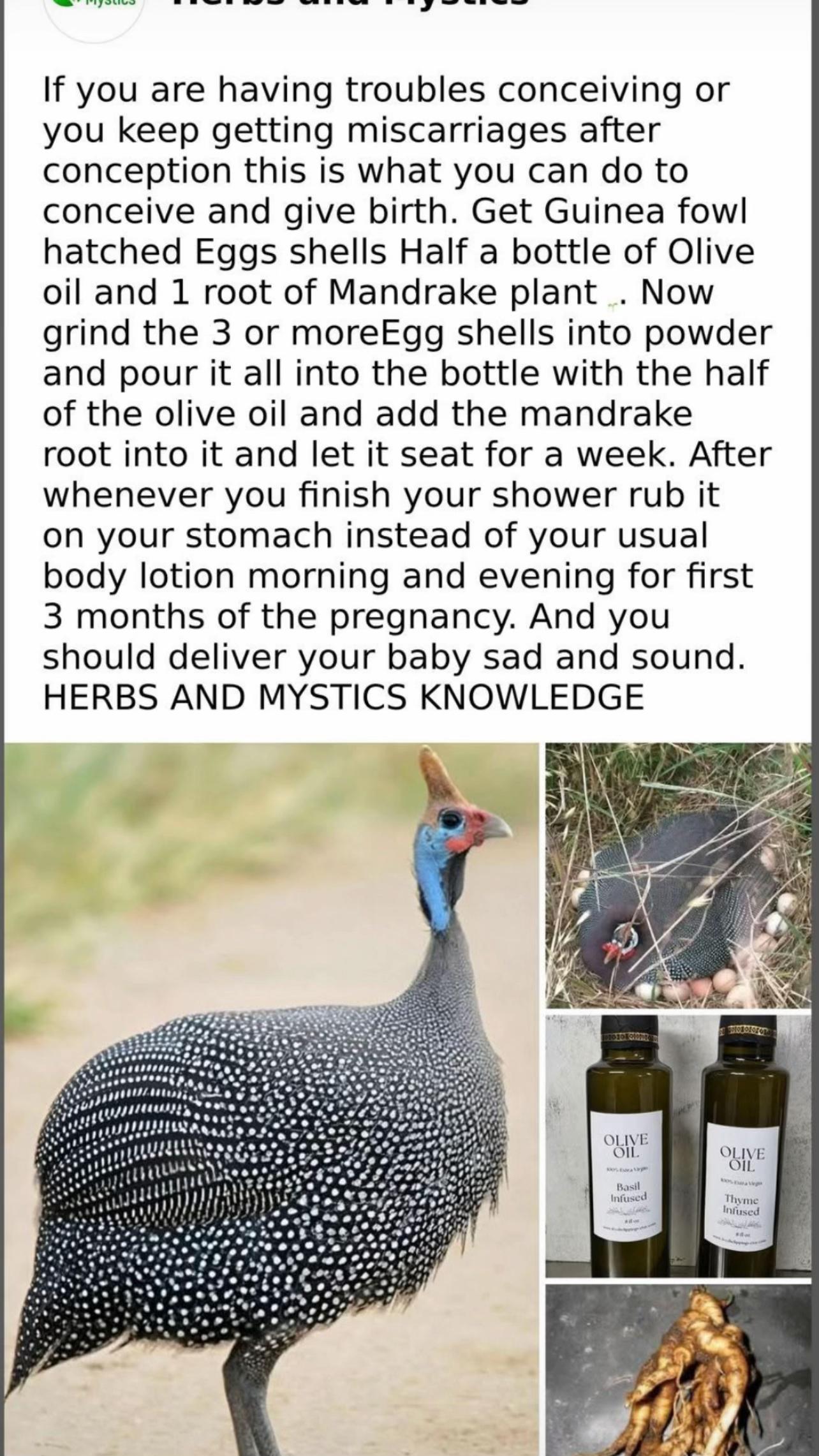 @Herbs And Mystics