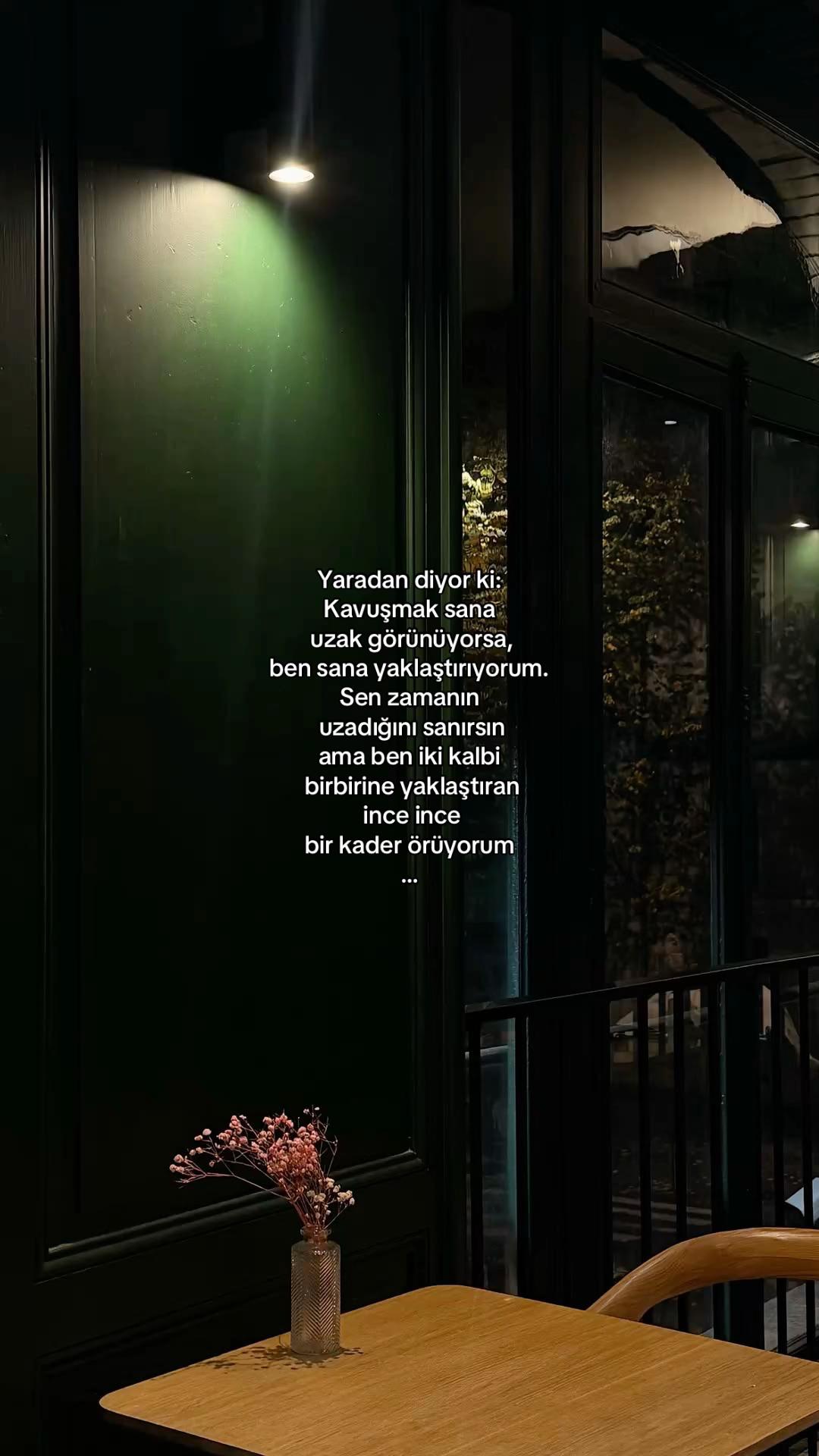 @𝓔𝓵𝓲𝓯