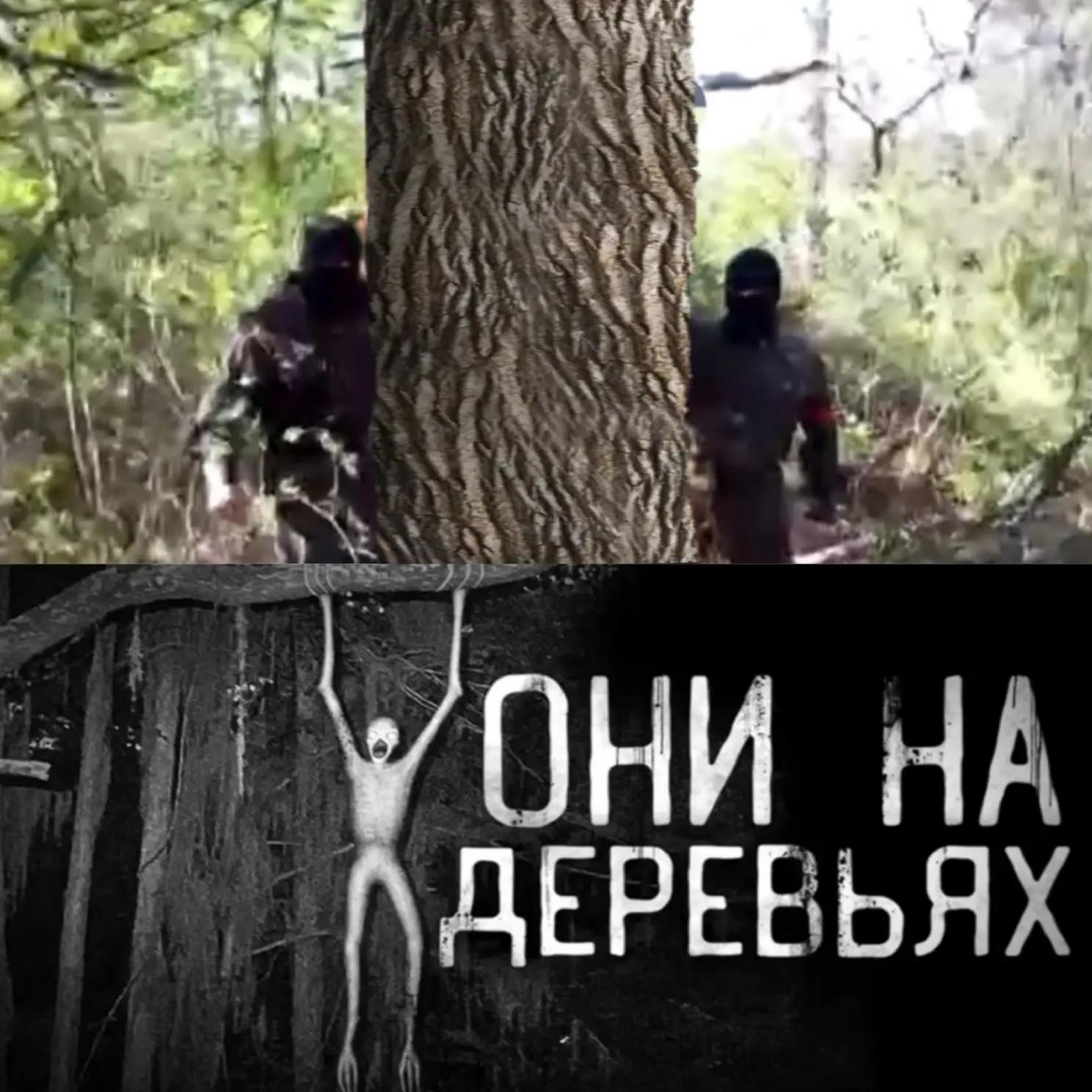 @🇺🇦𝐌𝐞𝐥𝐛𝐨𝐮𝐫𝐧𝐞🇺🇦