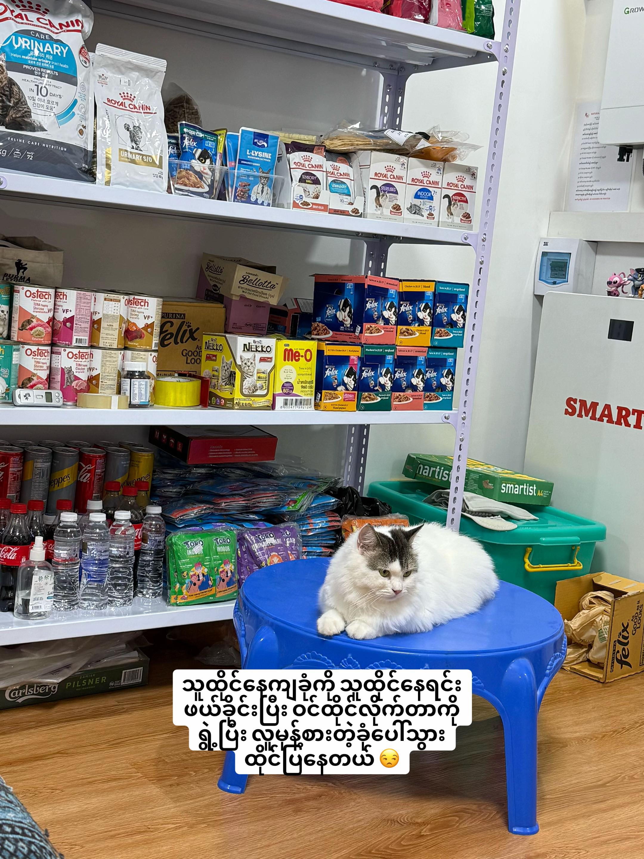 @သားတော်မောင် ကွတ်ကီး (Cookie)