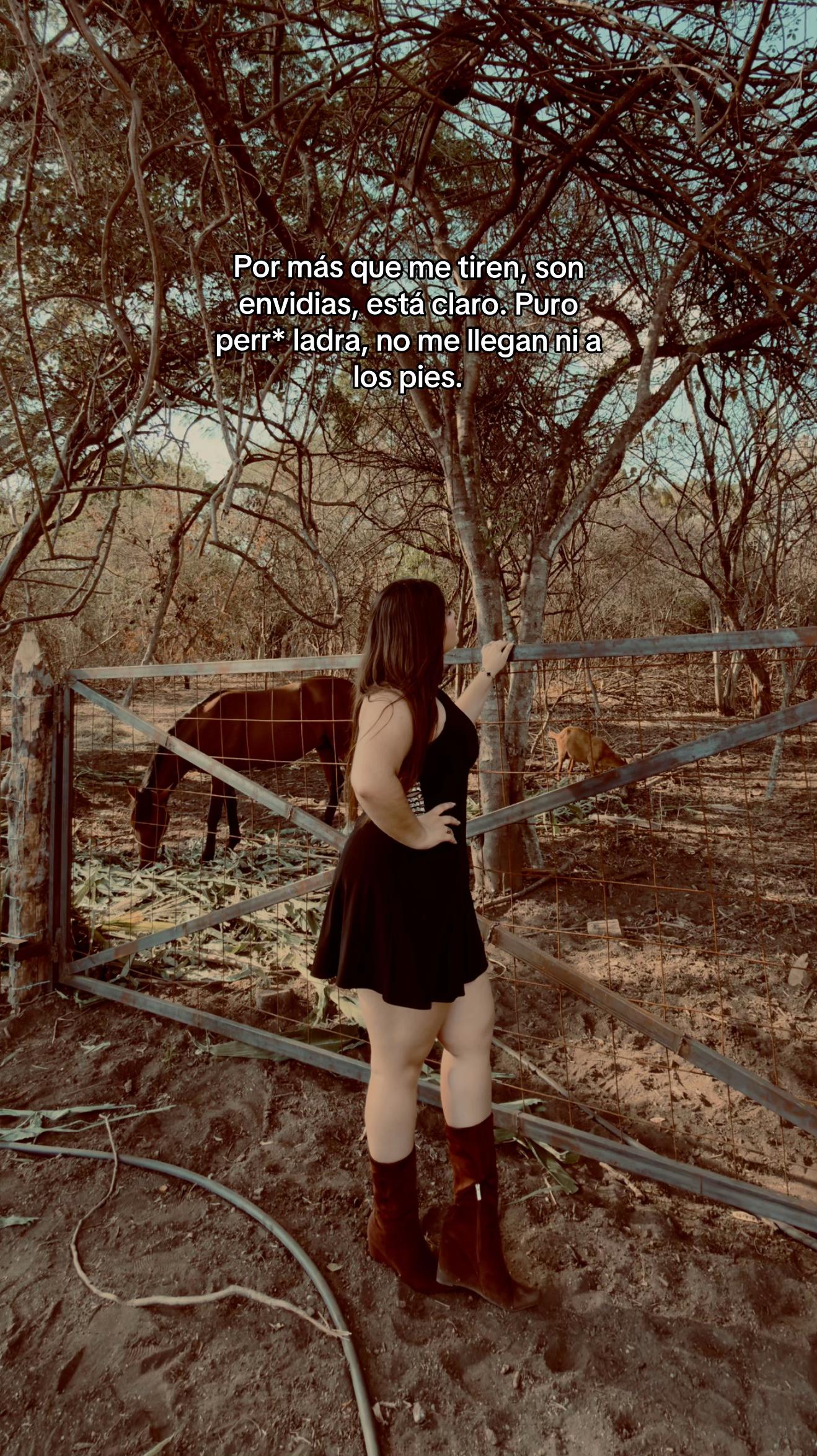 @Alexa📿