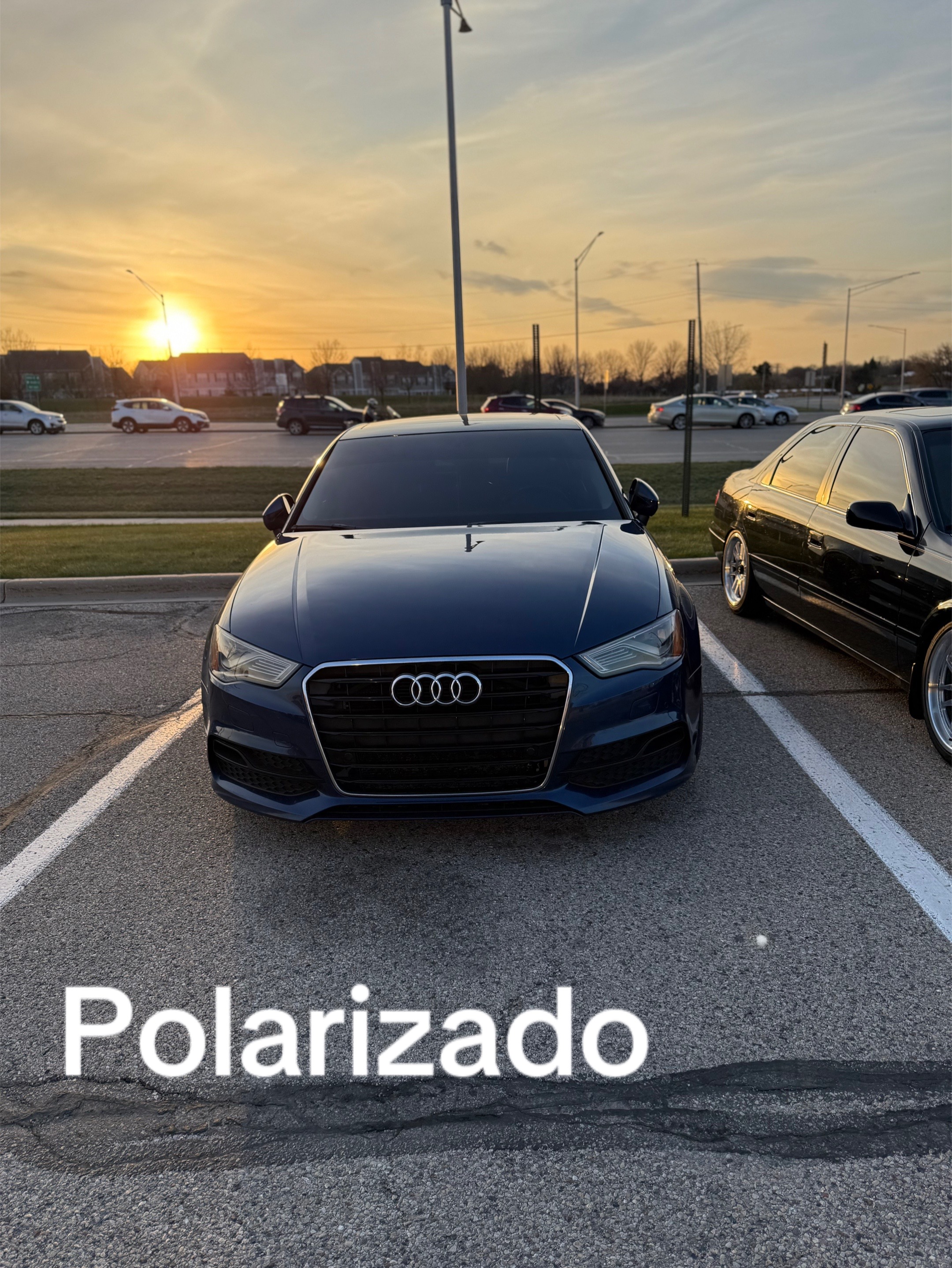 @gall3gos14