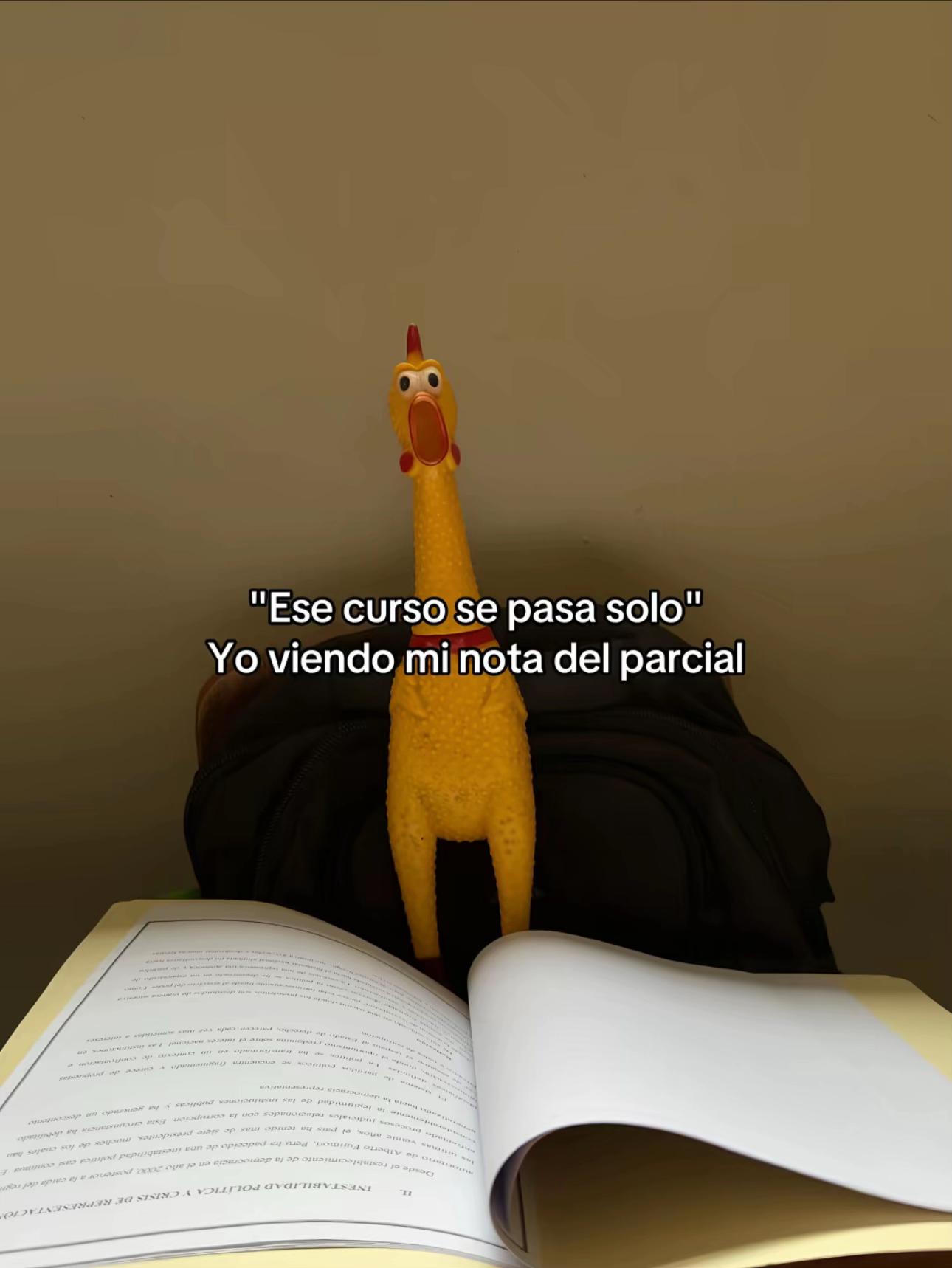 @Alejandro