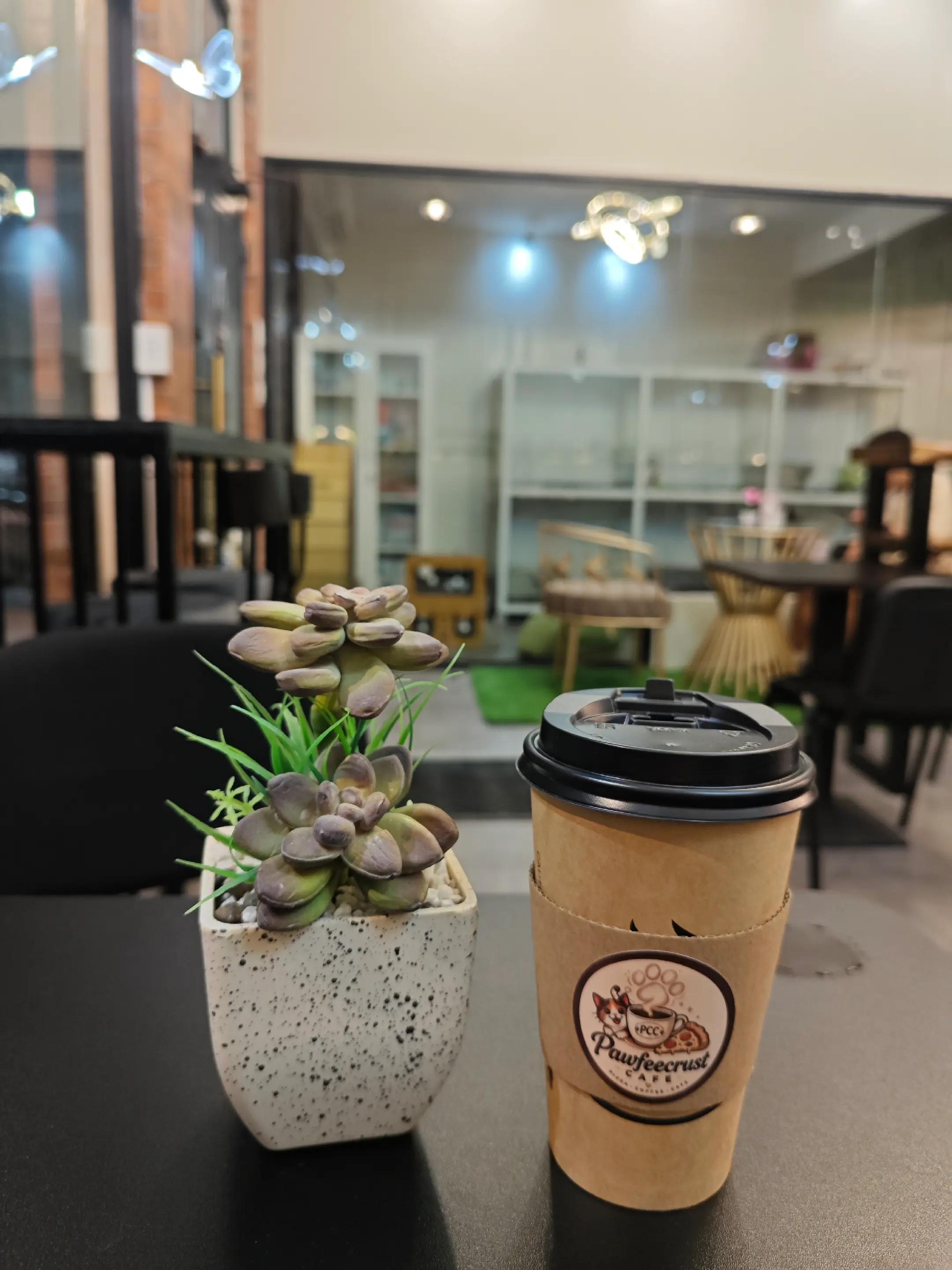 @Gingerbread🔰♡
