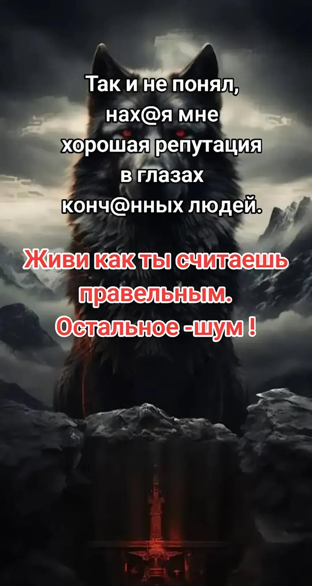 @๐โ แด อฅษชอฃแดอซโฎโ ๐ถ๐๐๐ ๐โ