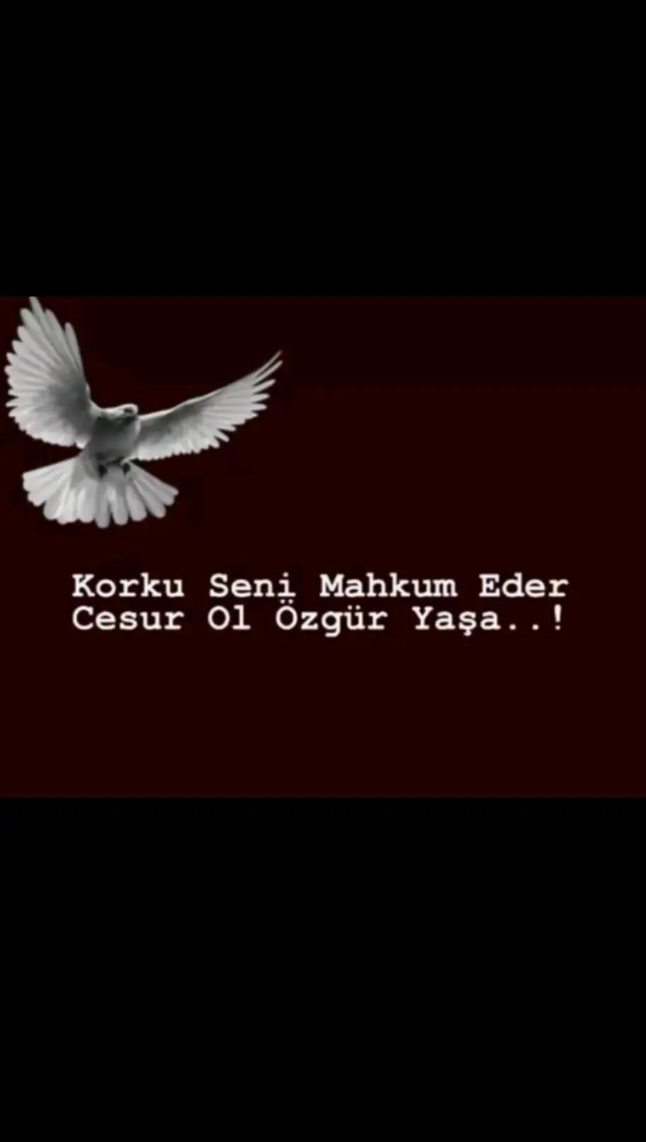 @𝐑.İ🇦🇿