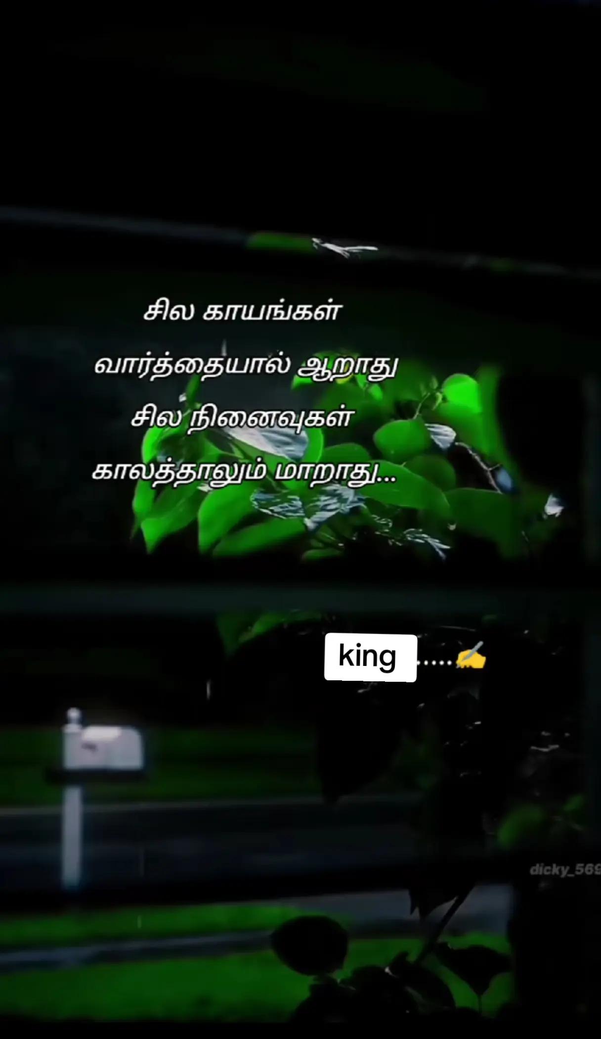 @❤️✯༺SANAR✫kING༻✯❤