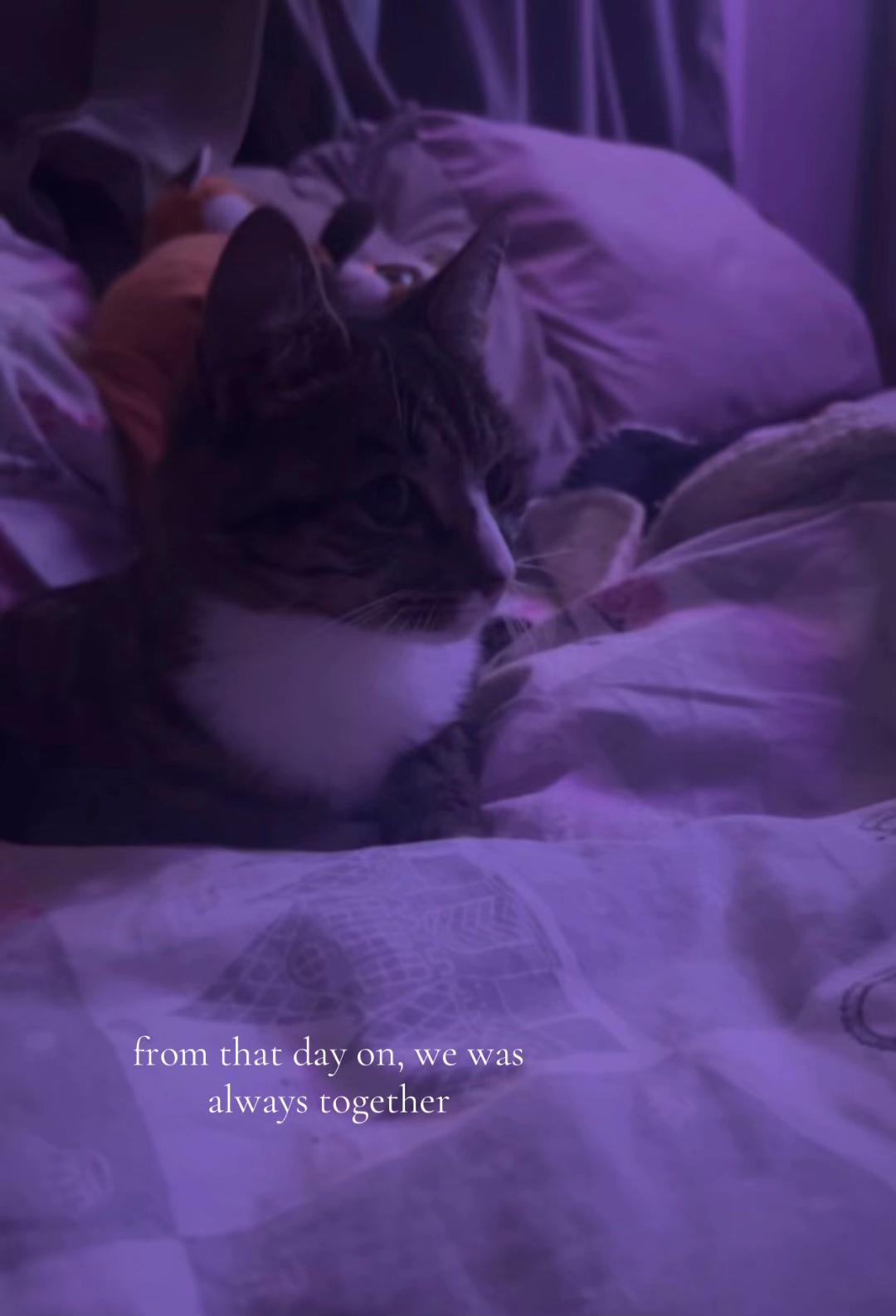 @ℬℯ𝓁𝓁𝒶💕