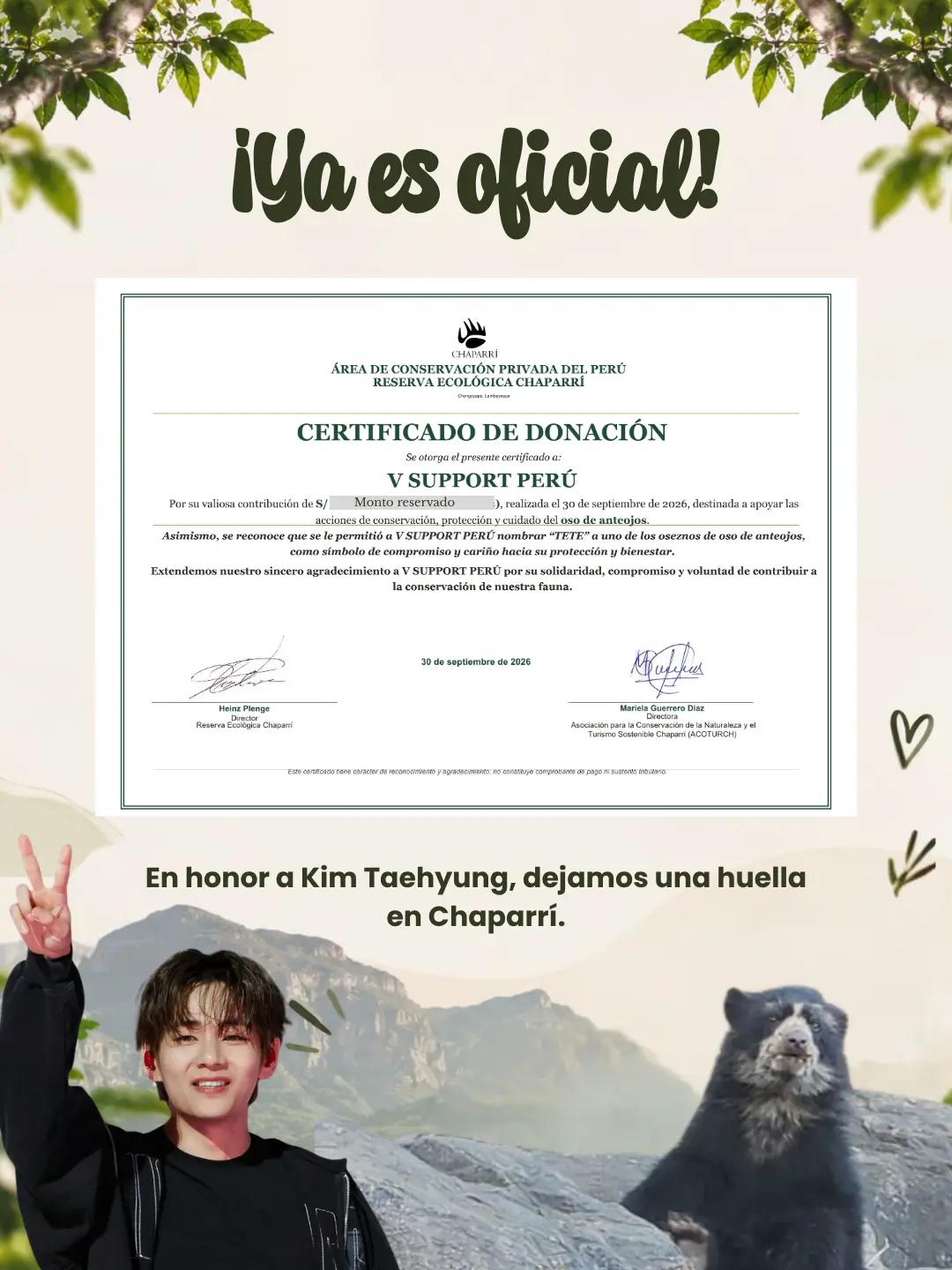 @V Support Perú