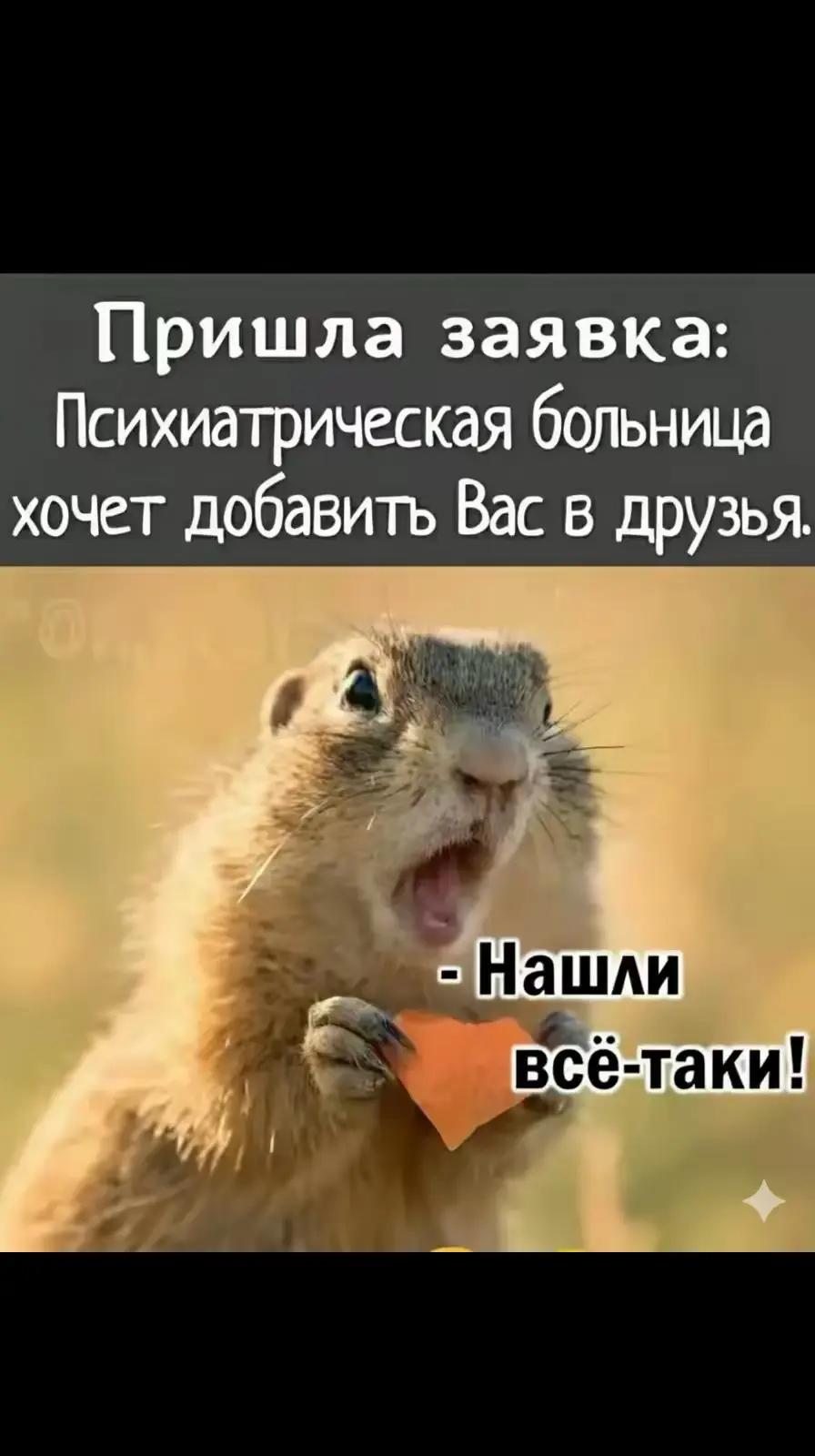 @Константин