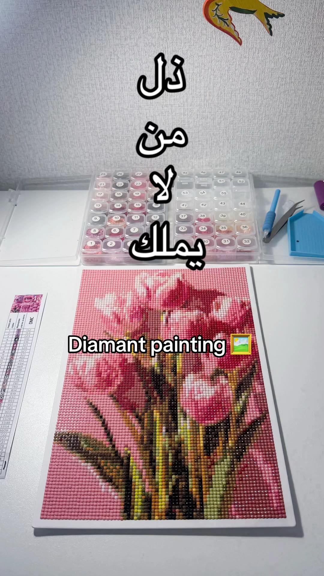 @digital.lilite