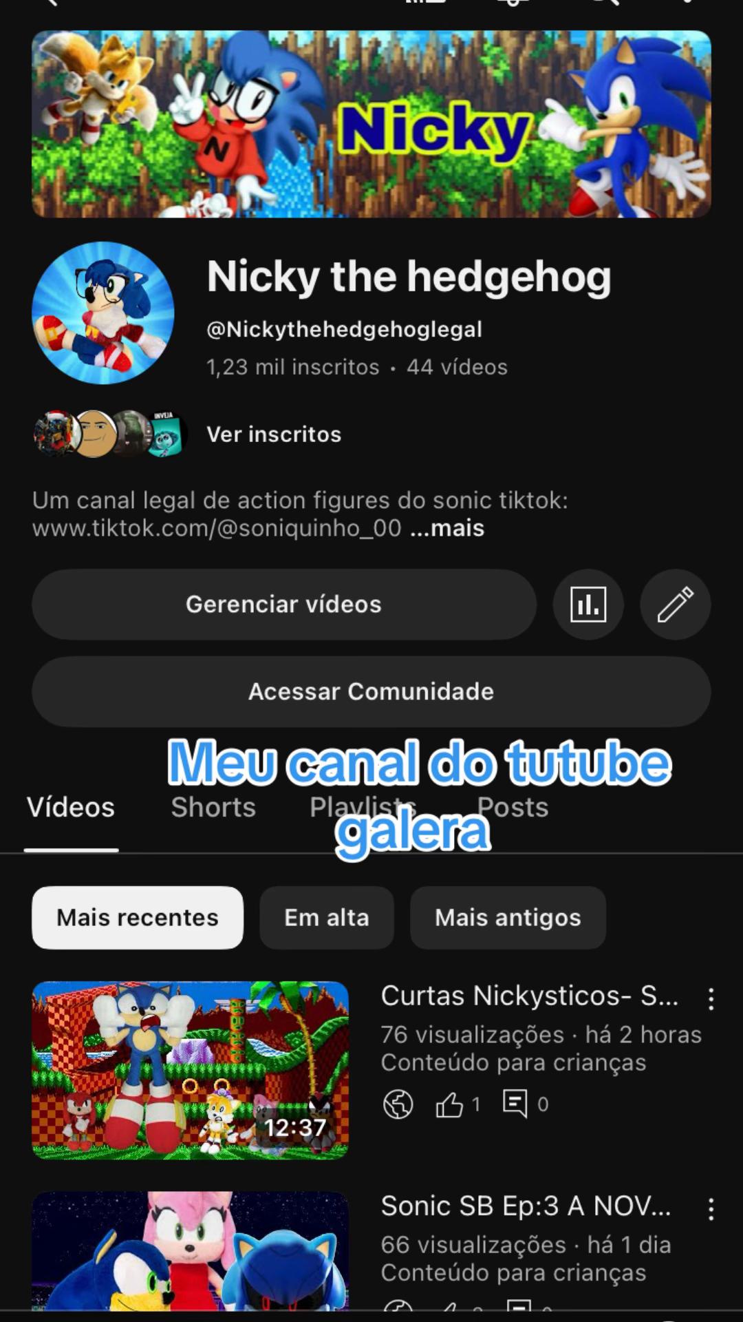 @Nicky_Editz (nickythehedgehog)