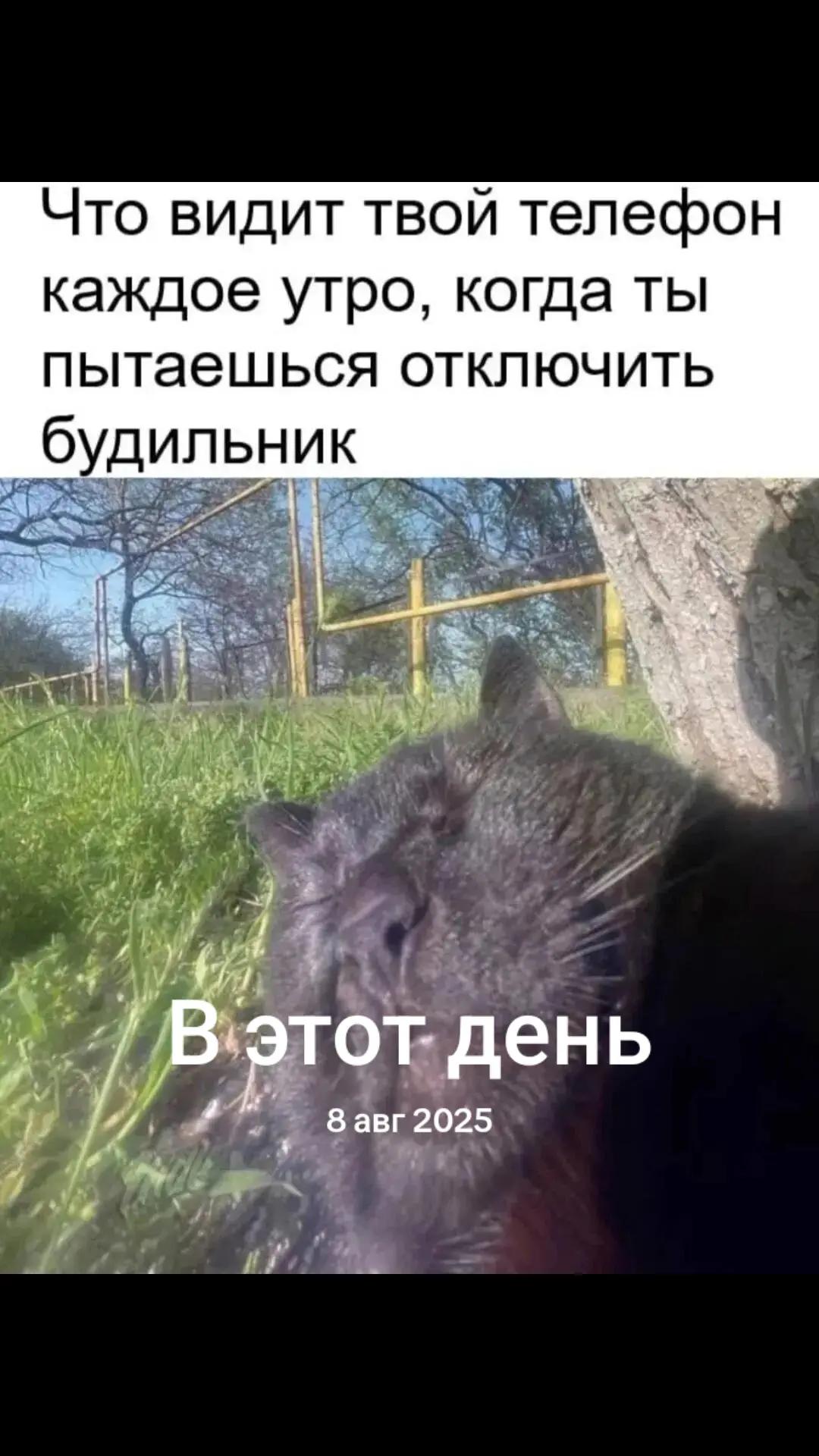 @Диман