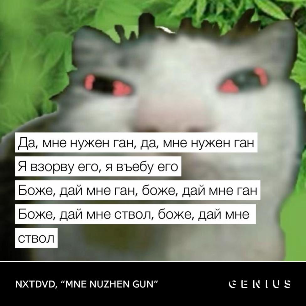 @nxtdvd