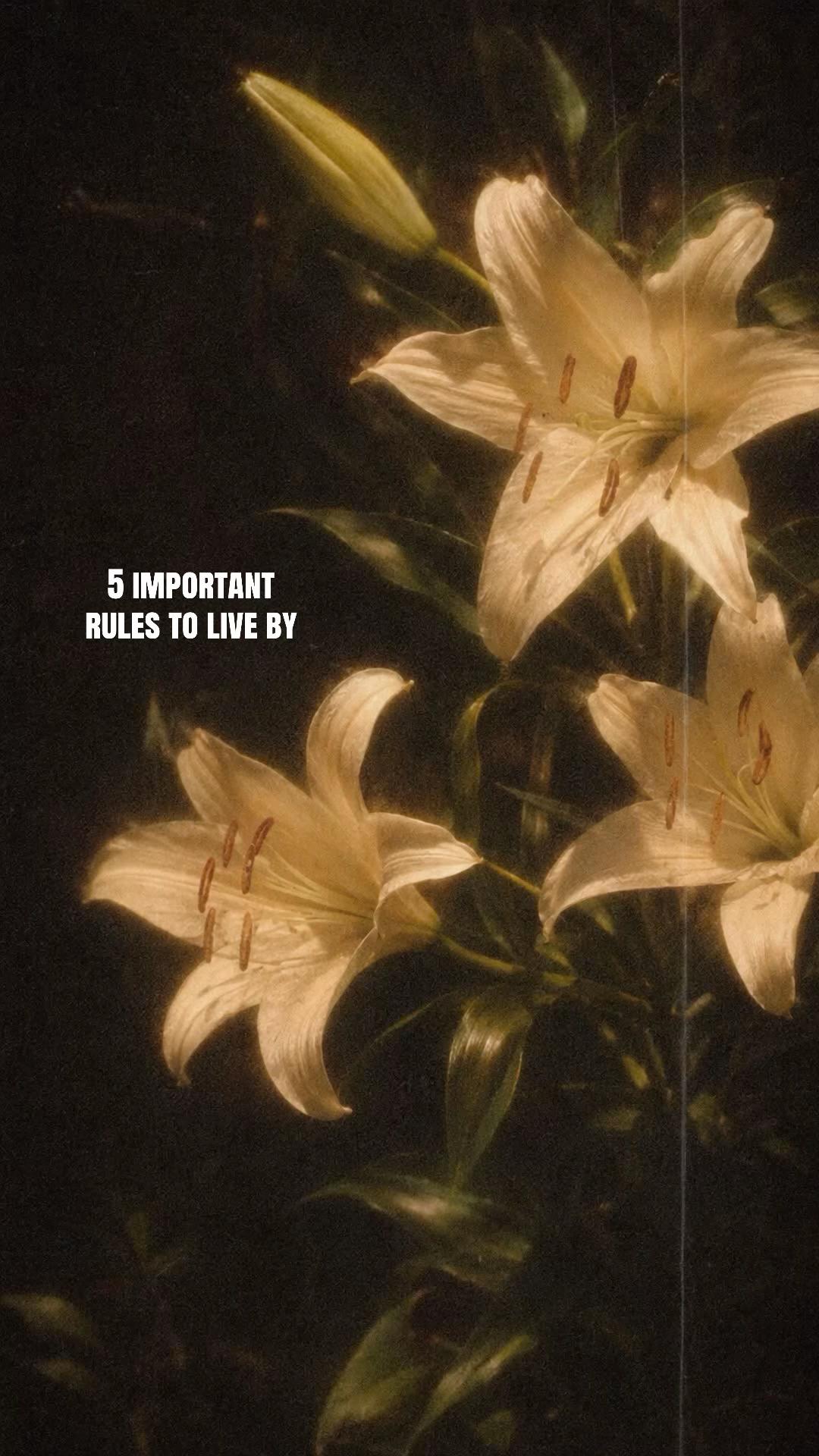 @🌺