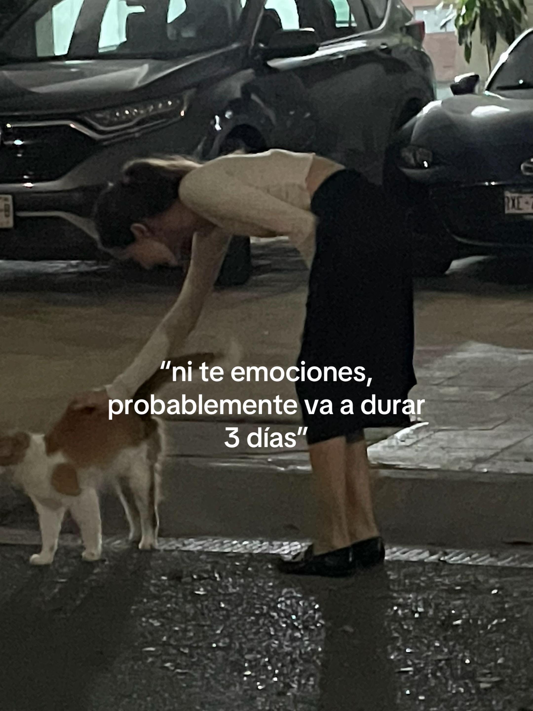 @dalilah