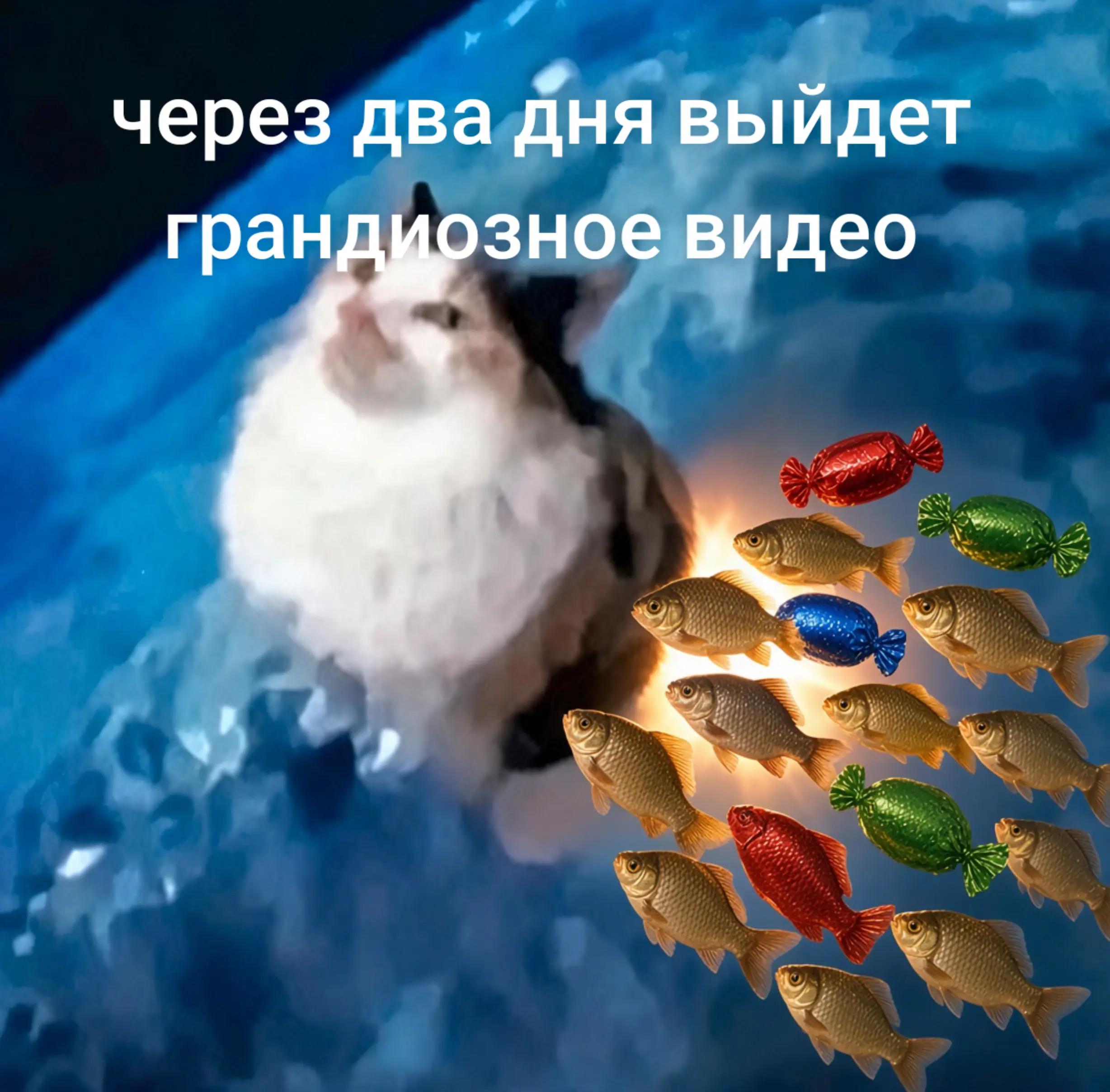 @Сикость 2.0