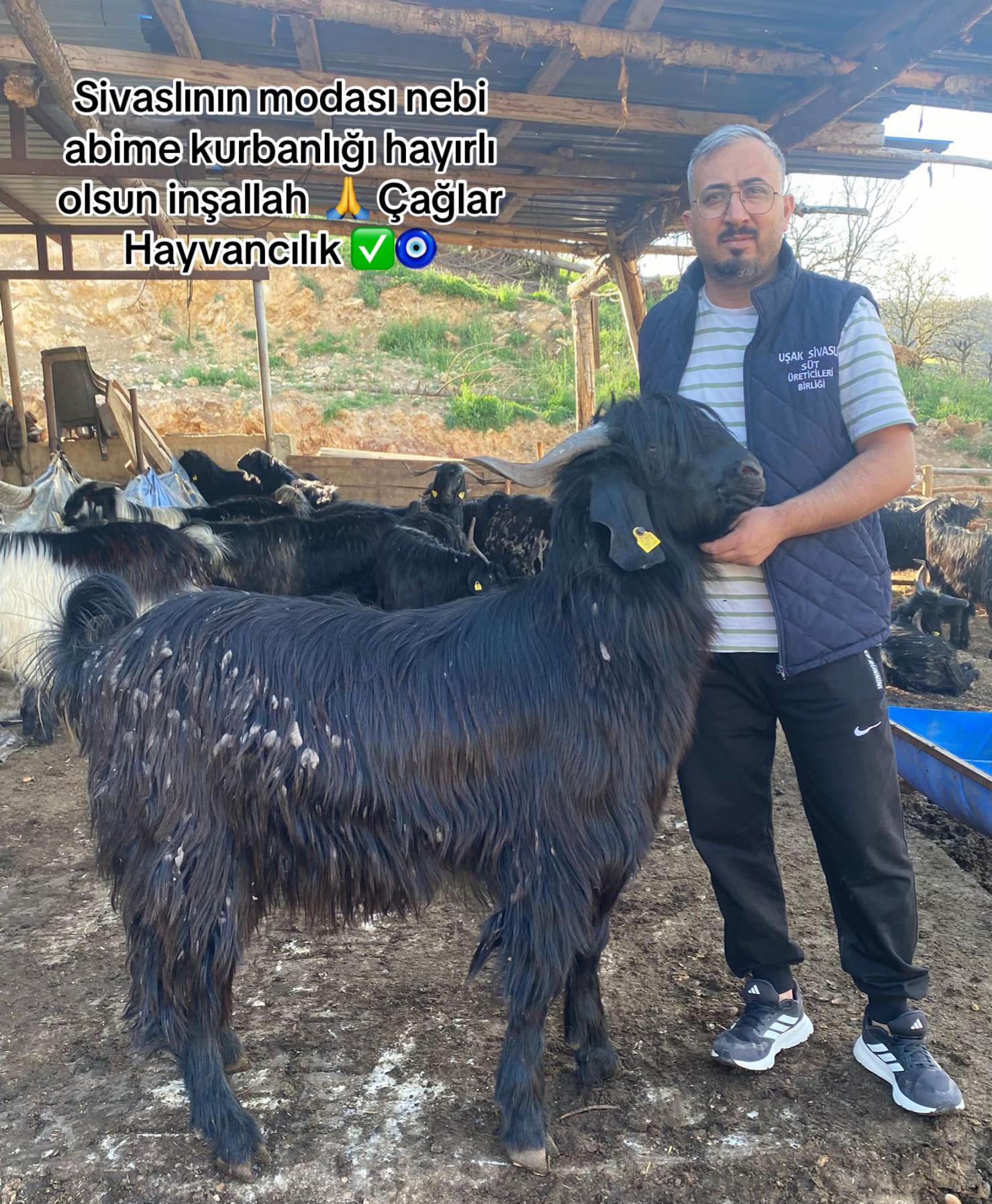@Metin Melisa &ccedil;ağlar