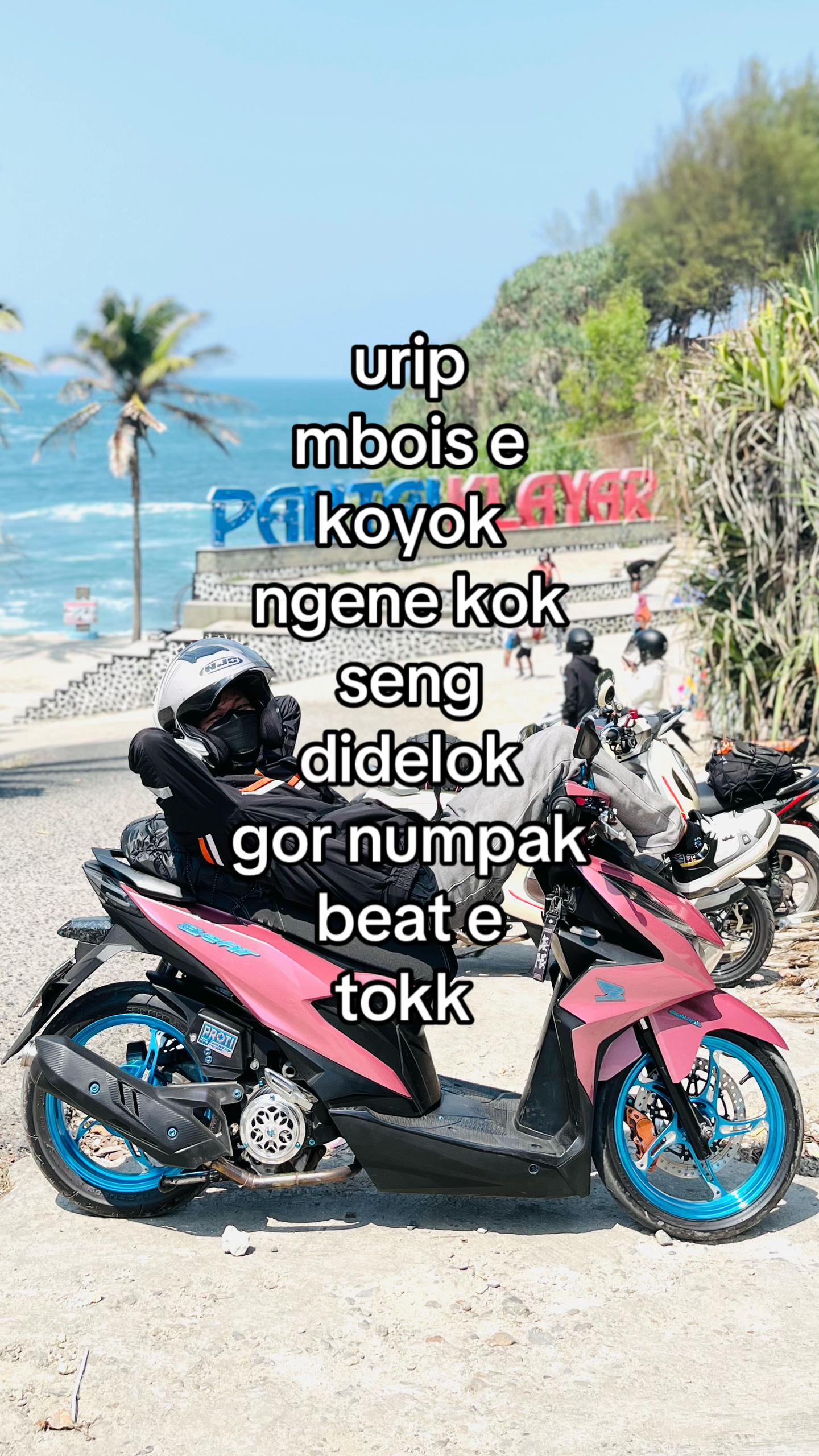 @stenky