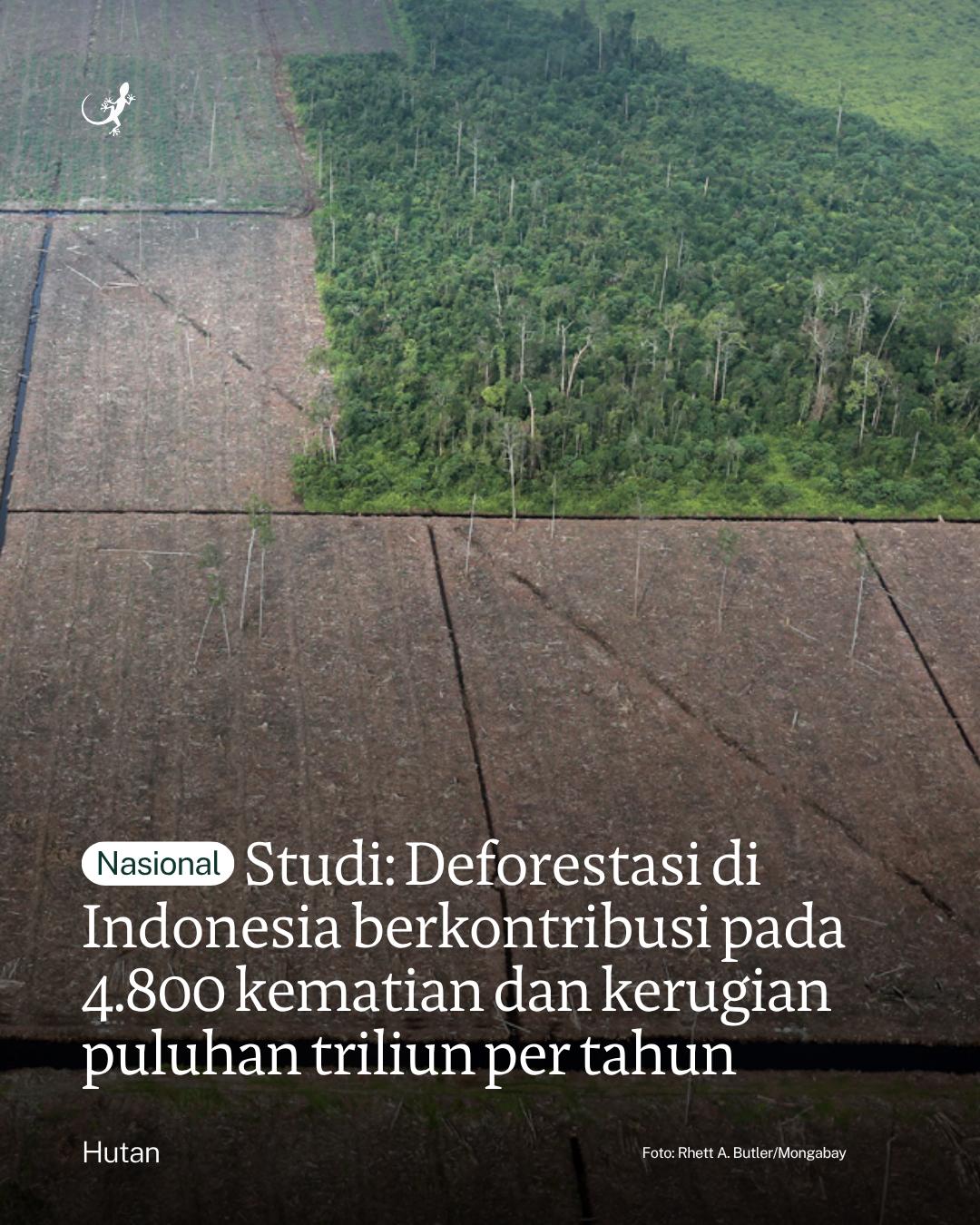 @mongabayindonesia