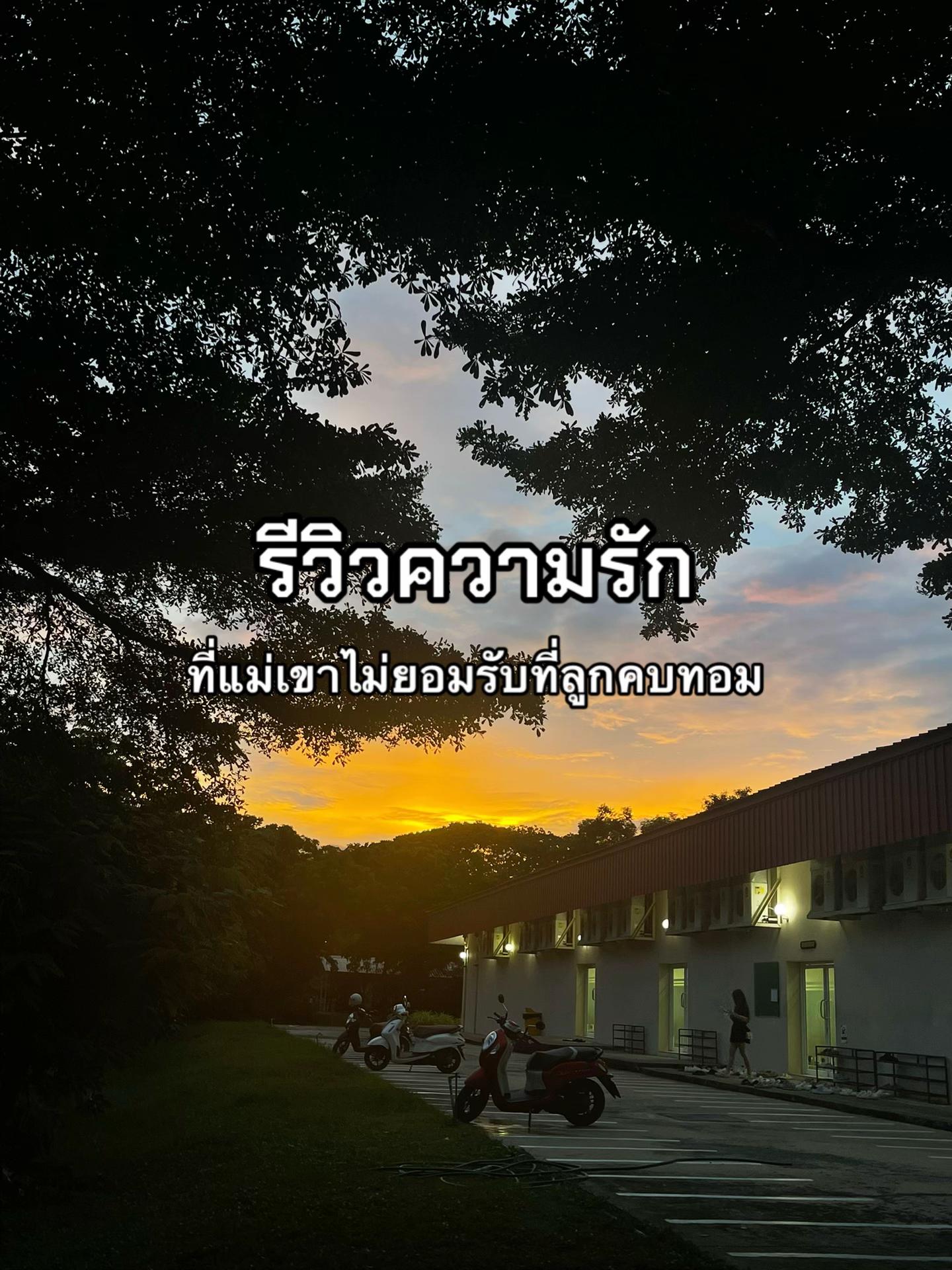 @มิวซังเต้าหู้ปรุงจืด