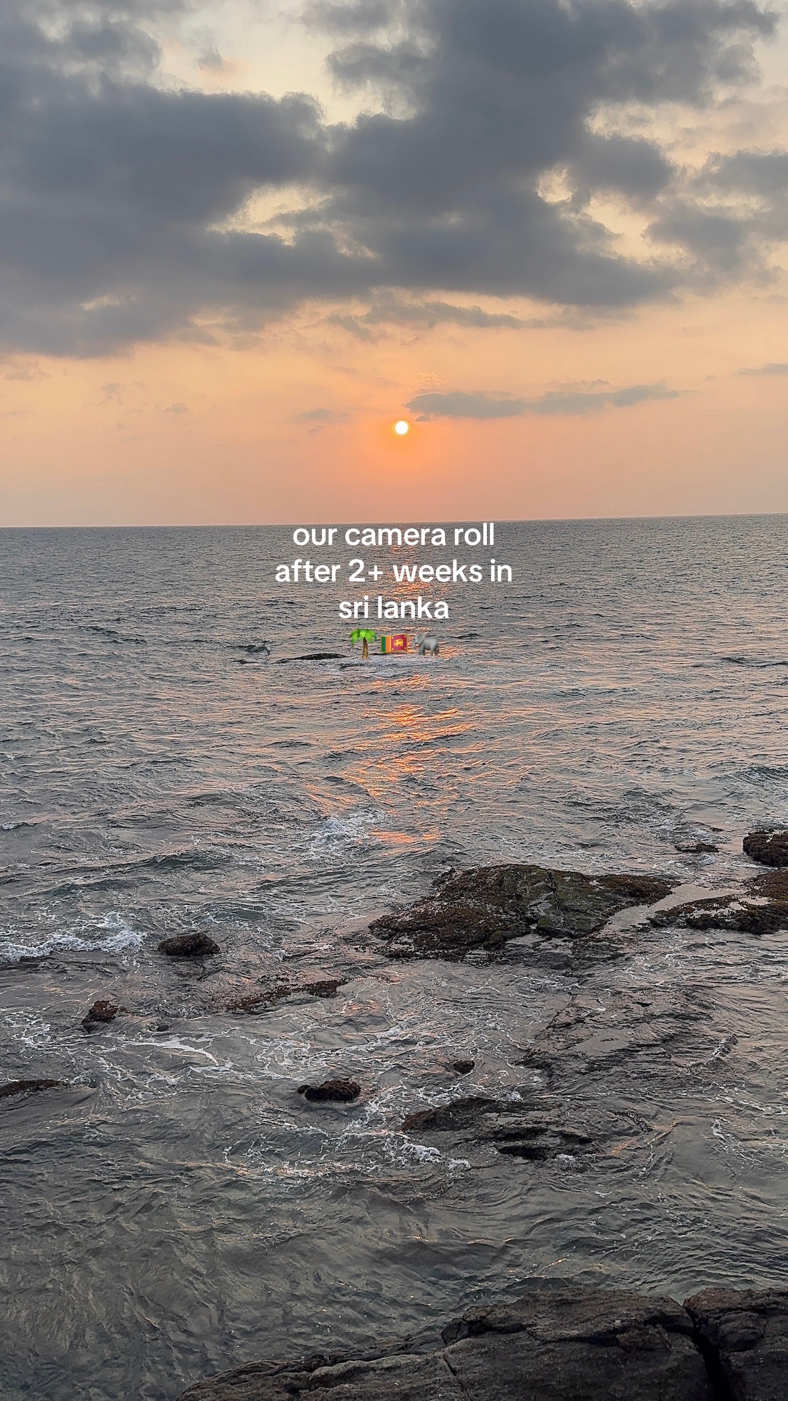 @Matt & Shannon | Travel 🌎🌍🌏
