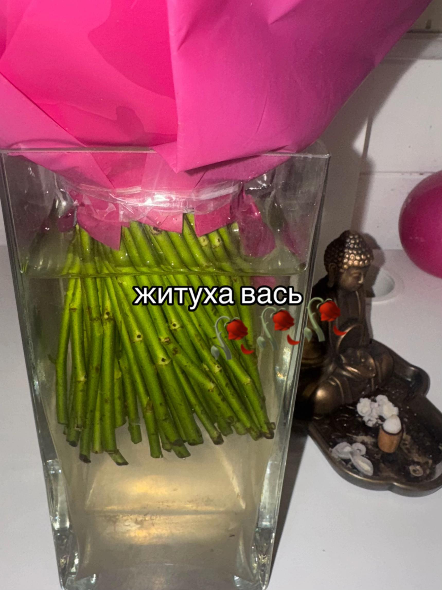 @Это не хомалон