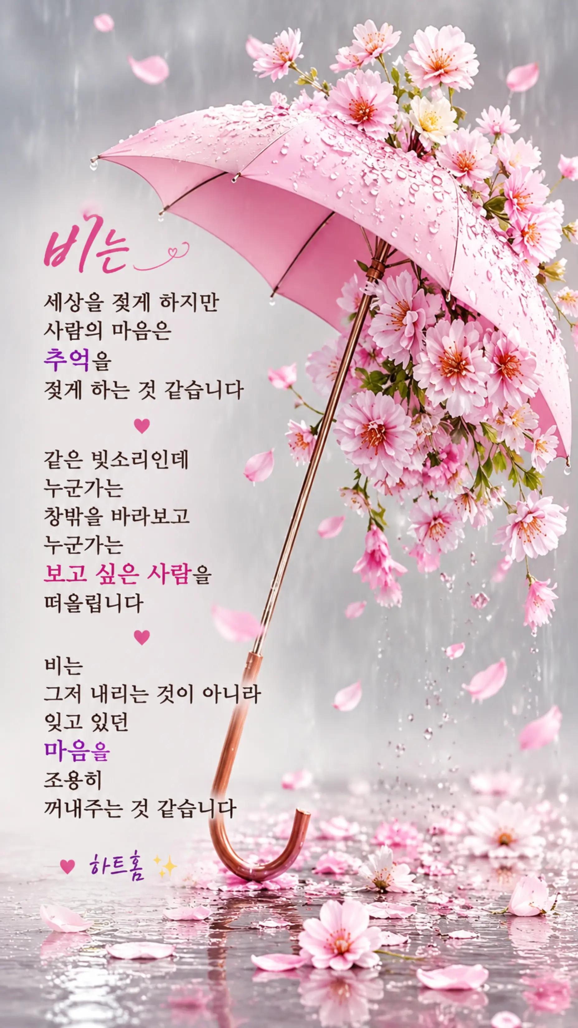 @하트홈🩷