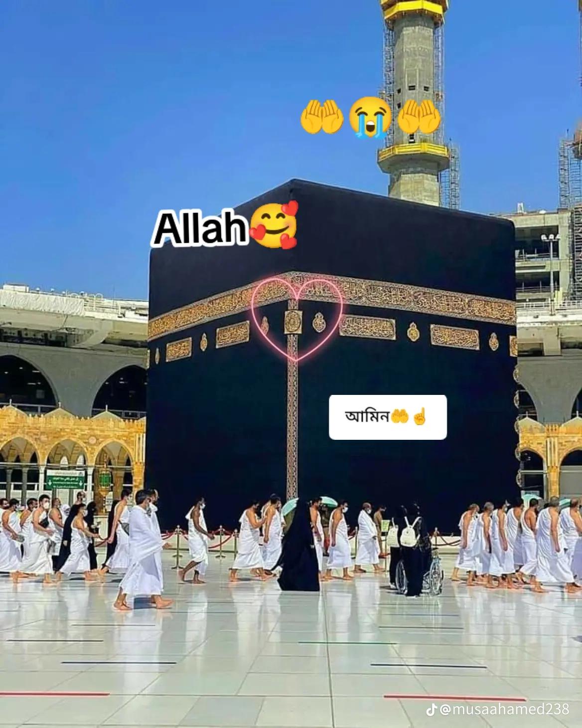 @Md Zubaid