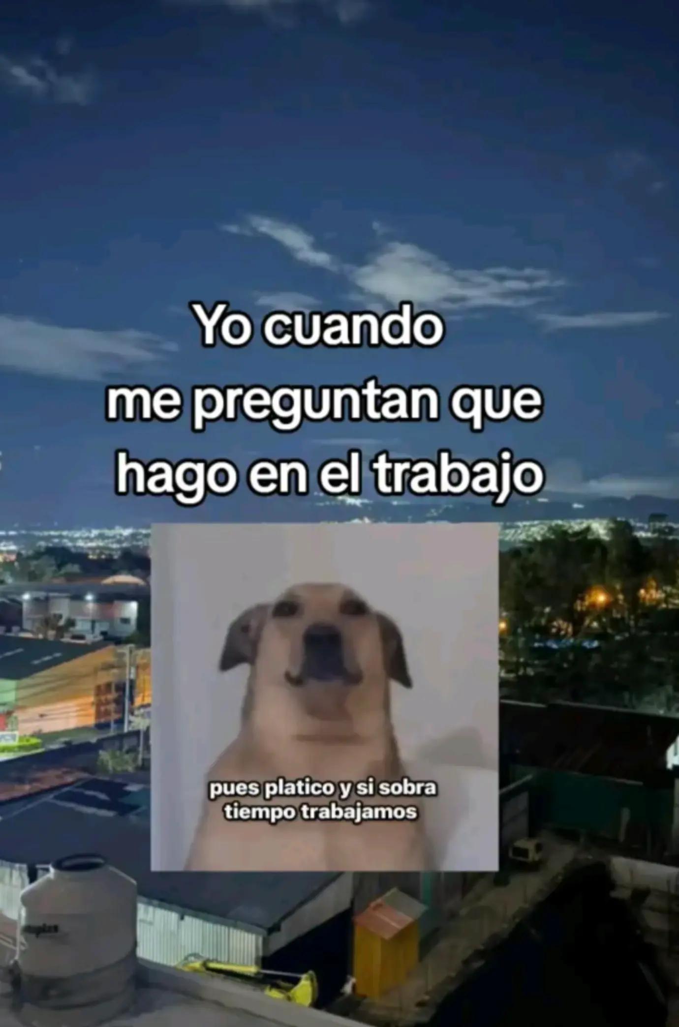 @ANA💙👑