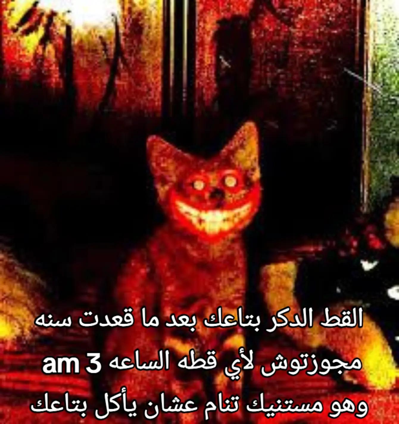 @شوكه مطبخ