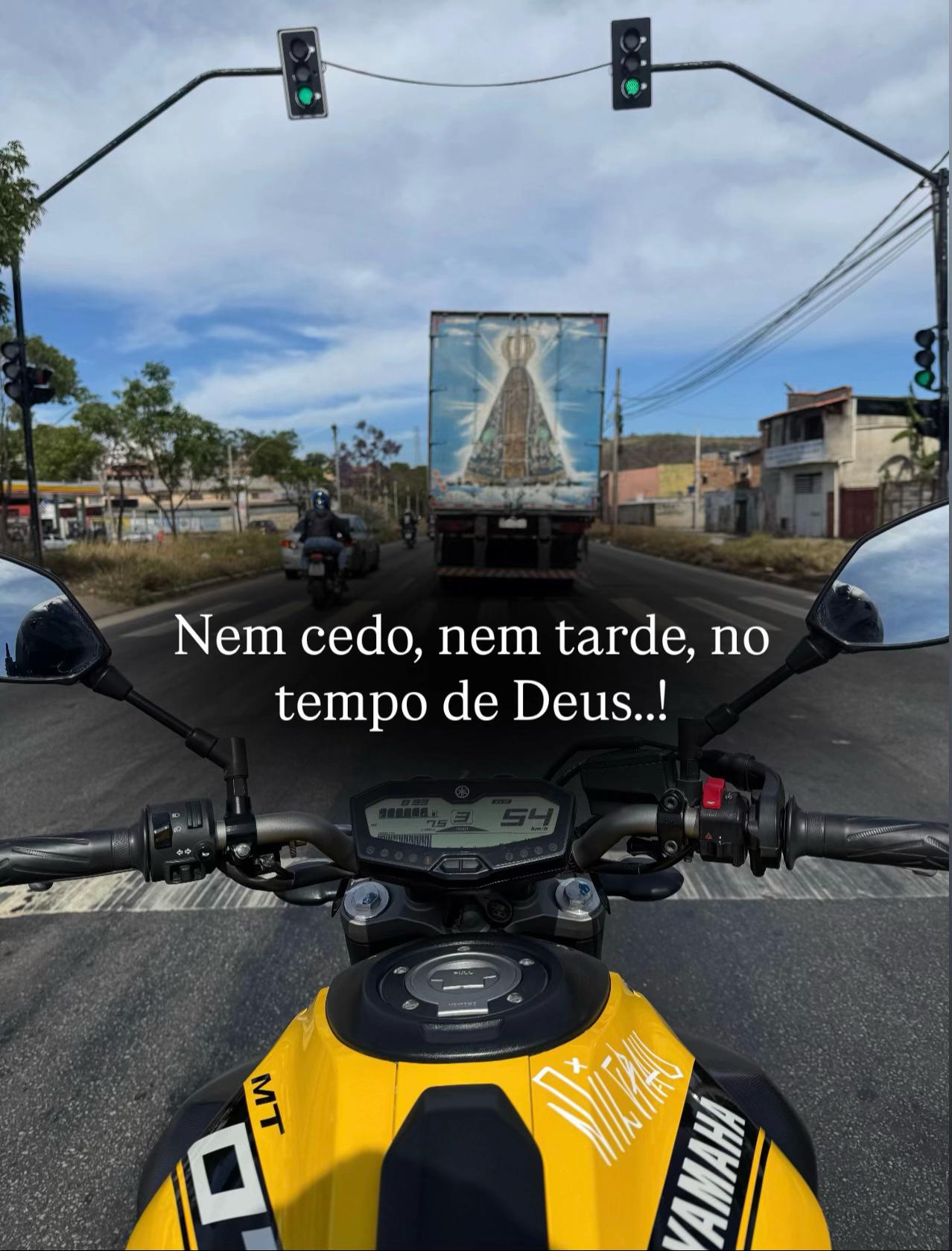 @João Tavares