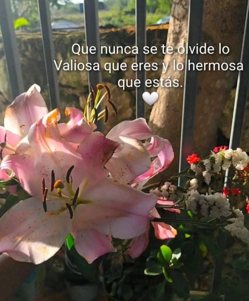 @ana contreras ❤️💋