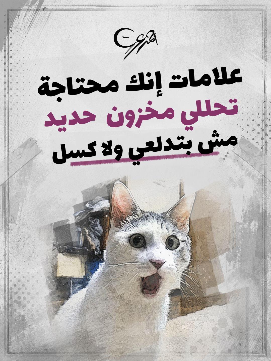 @Ahmed Ezzat