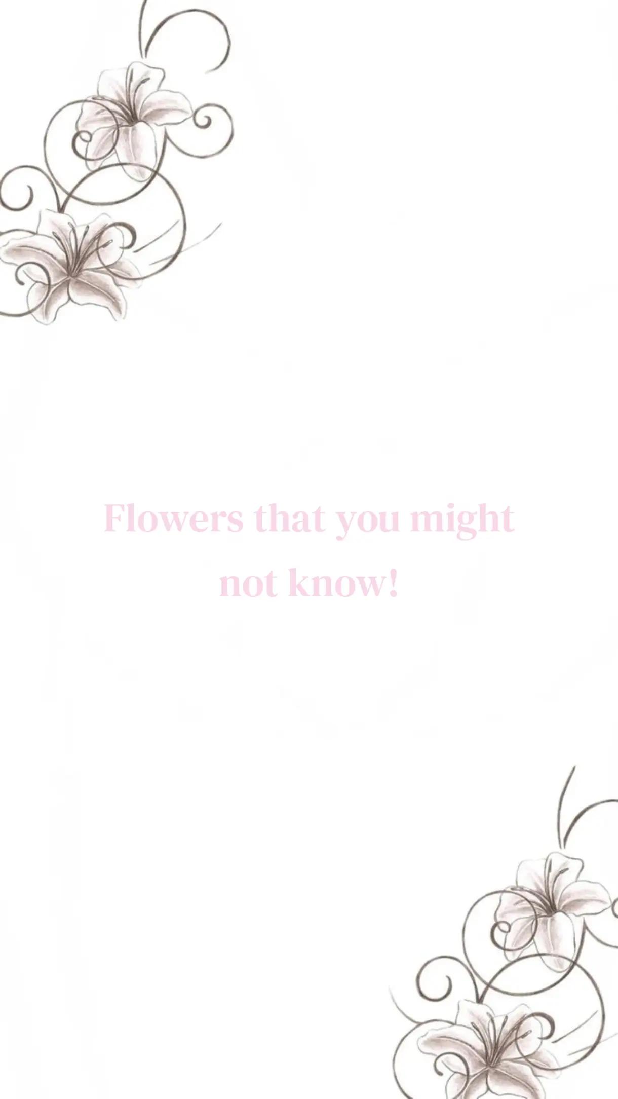 @𝑲𝒚𝒗𝒂'𝒔 𝒅𝒊𝒂𝒓𝒚