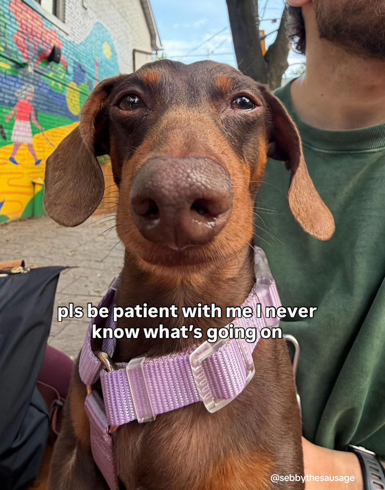 @sebbythesausage