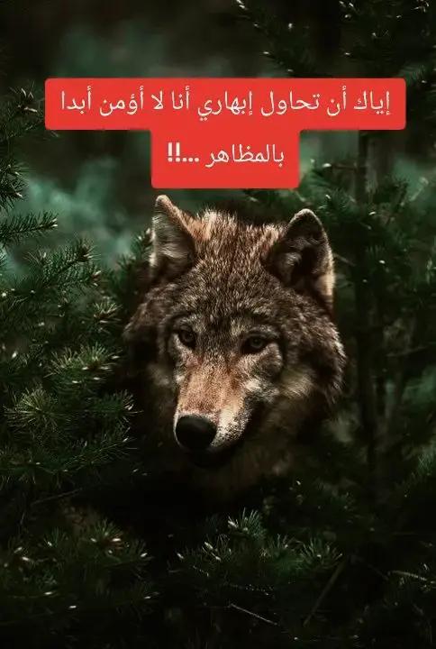 @walid Badi