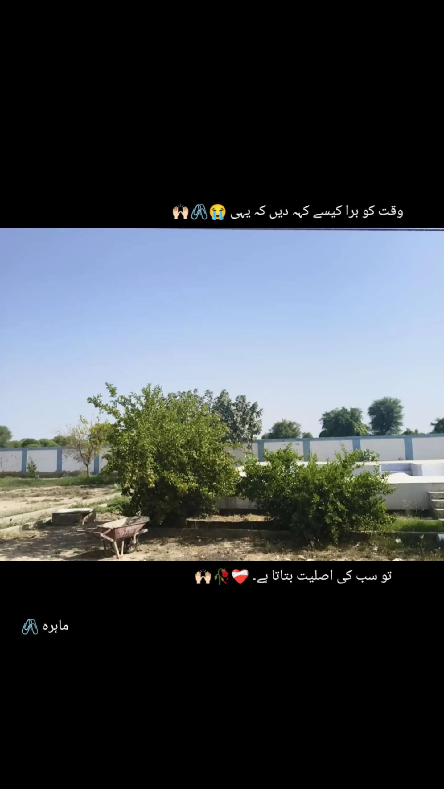 @ماہرہ ملک⚜️