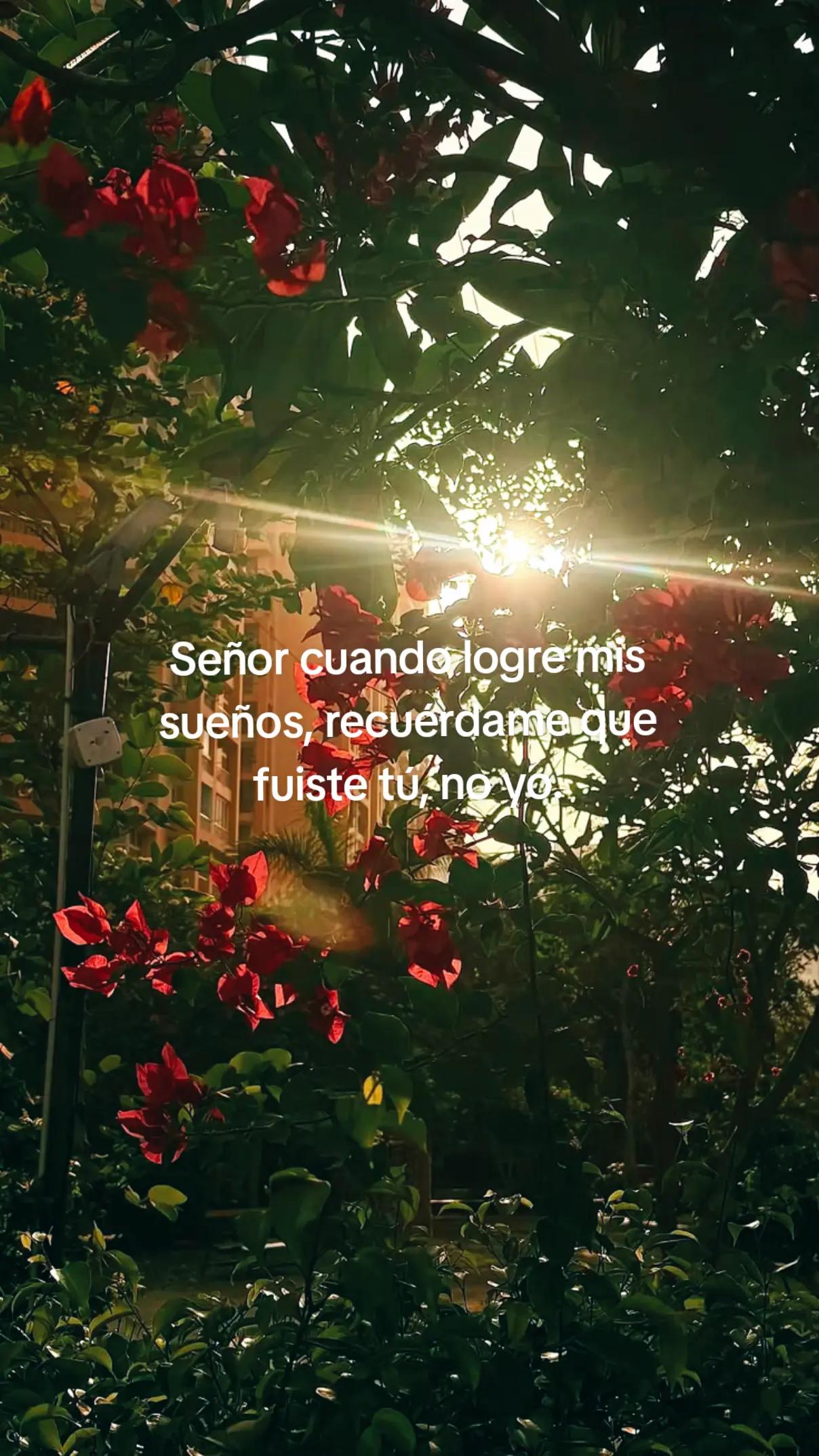 @&trade;MICHELLE._. OXTE 🍓🧸