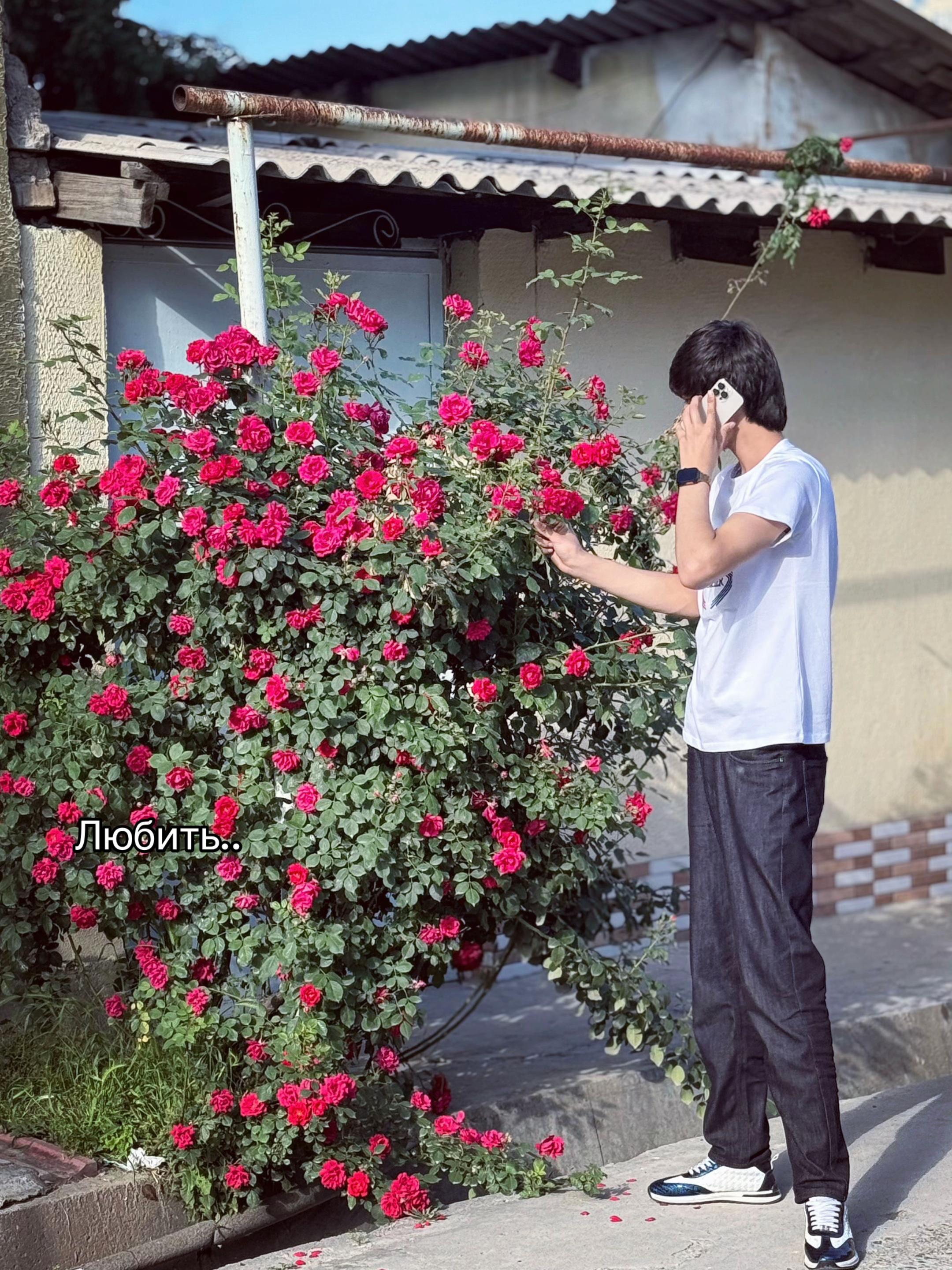 @ℳ𝒶𝓃𝓈𝓈𝓈’🐾