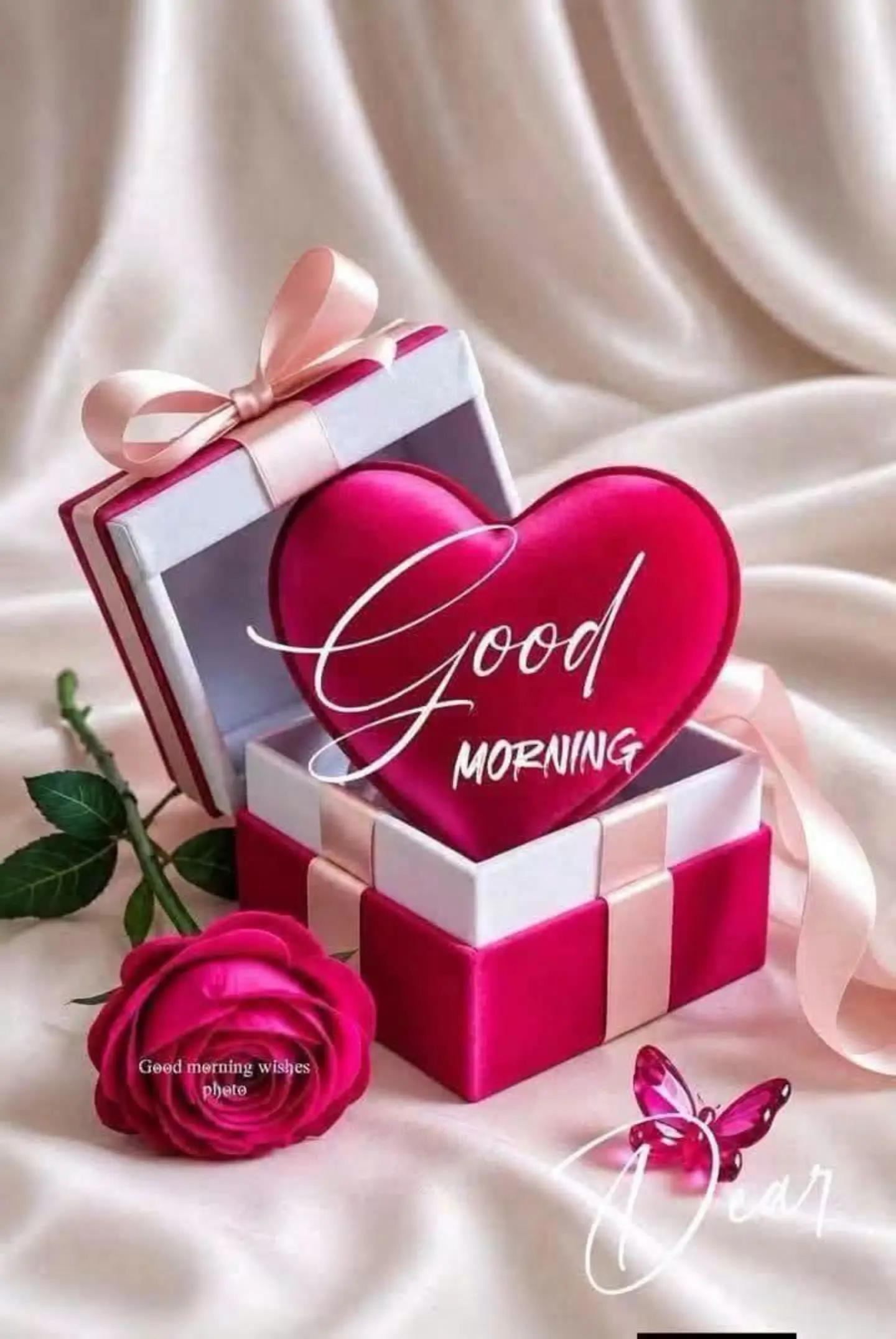 @💍🎆வானவில் 🏆ஏழு 🎆வண்ணம்💍