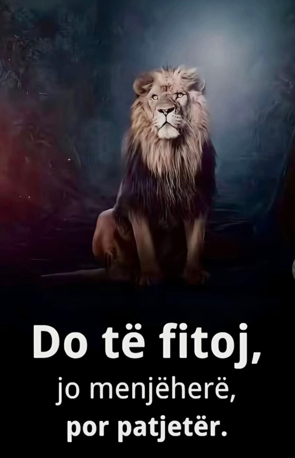 @vrenezi7