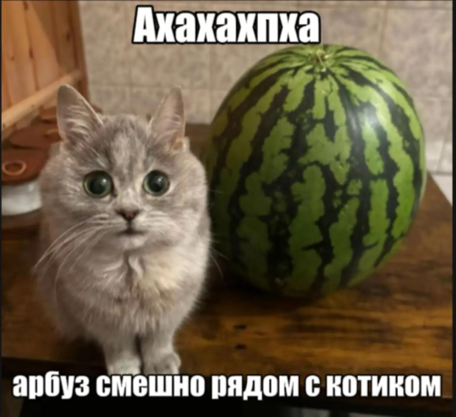@mythware666
